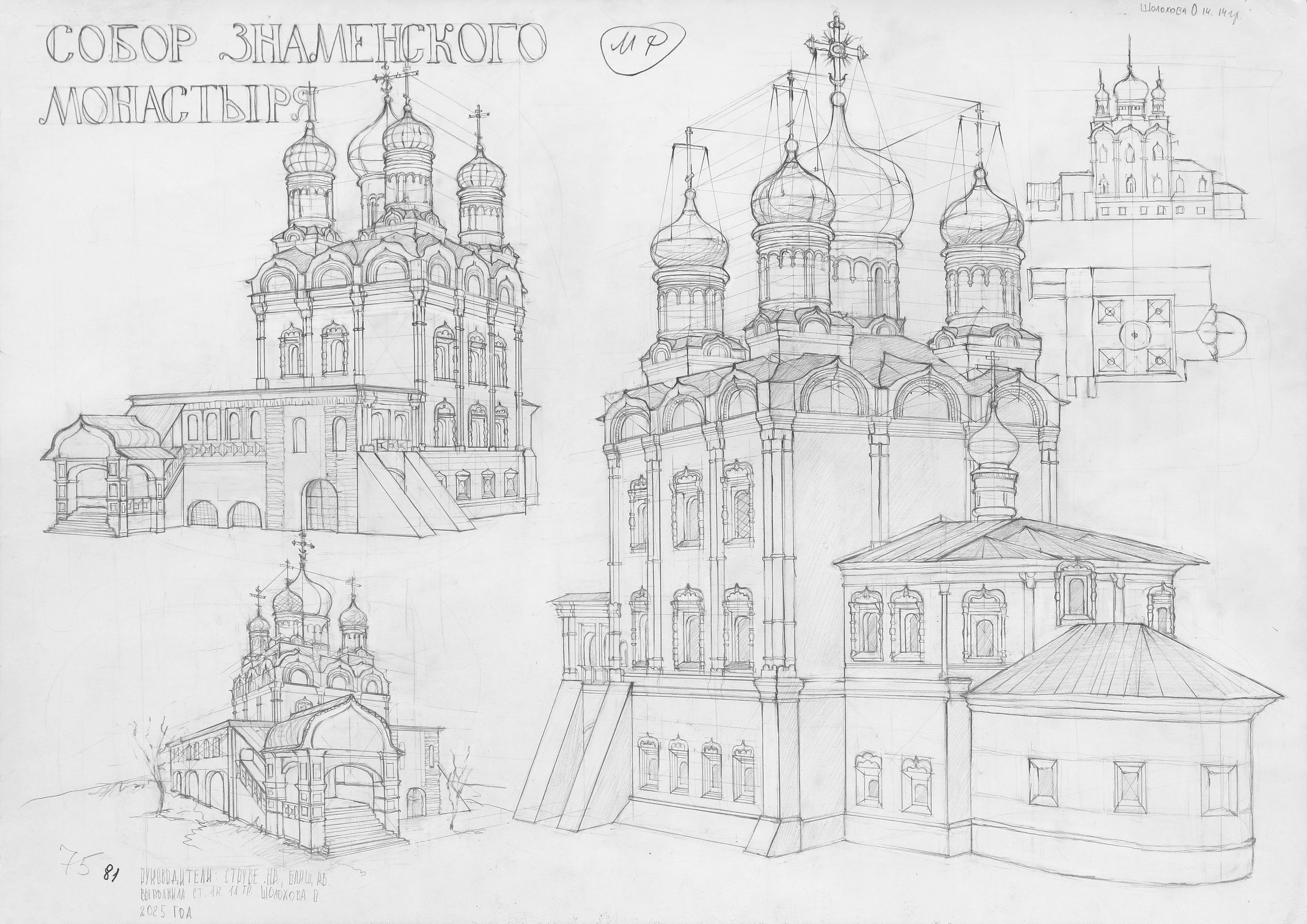 Шолохова Олеся. I курс, 2025