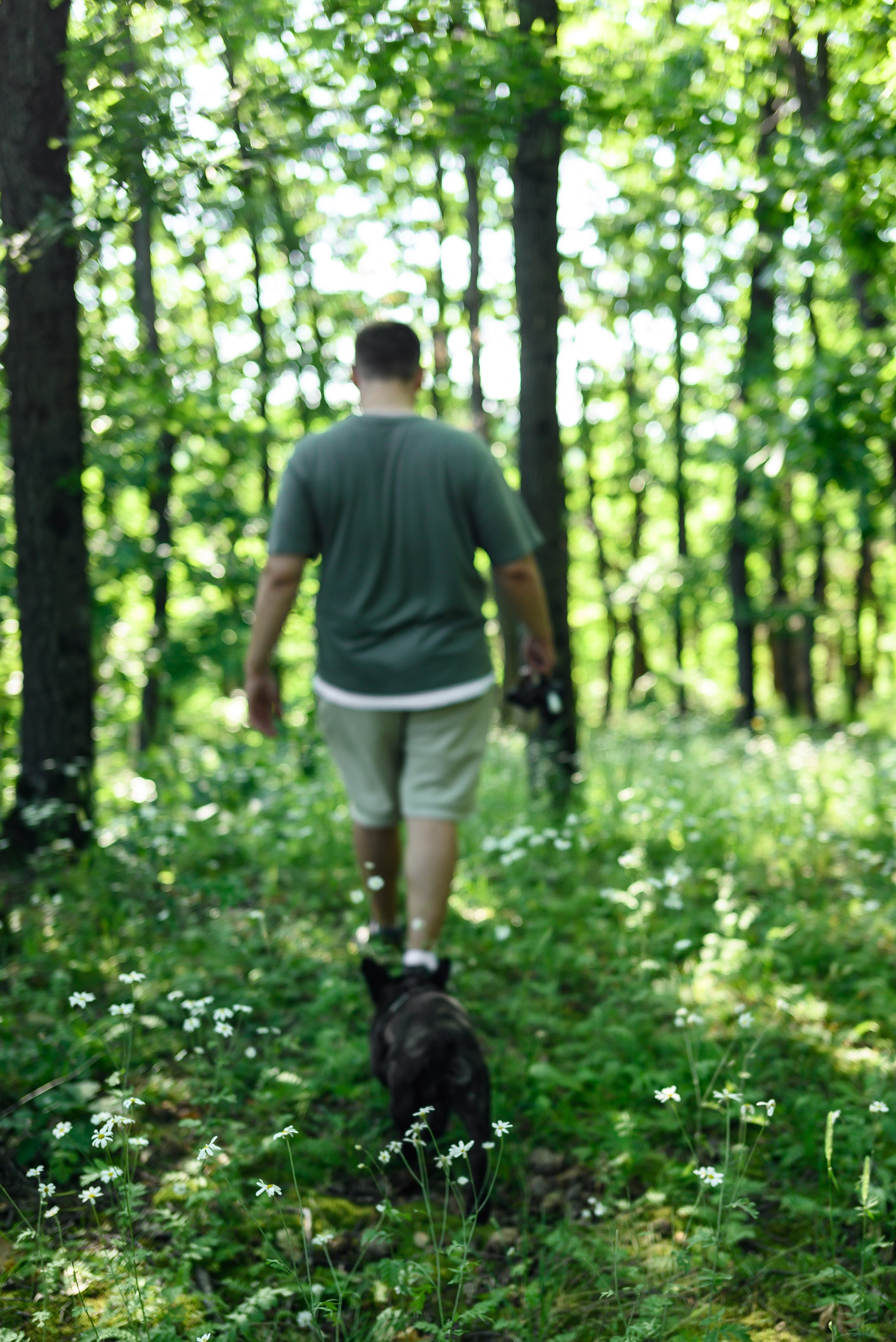 Фотосессии с собаками. Фотограф Краснодар Наталья Сувит