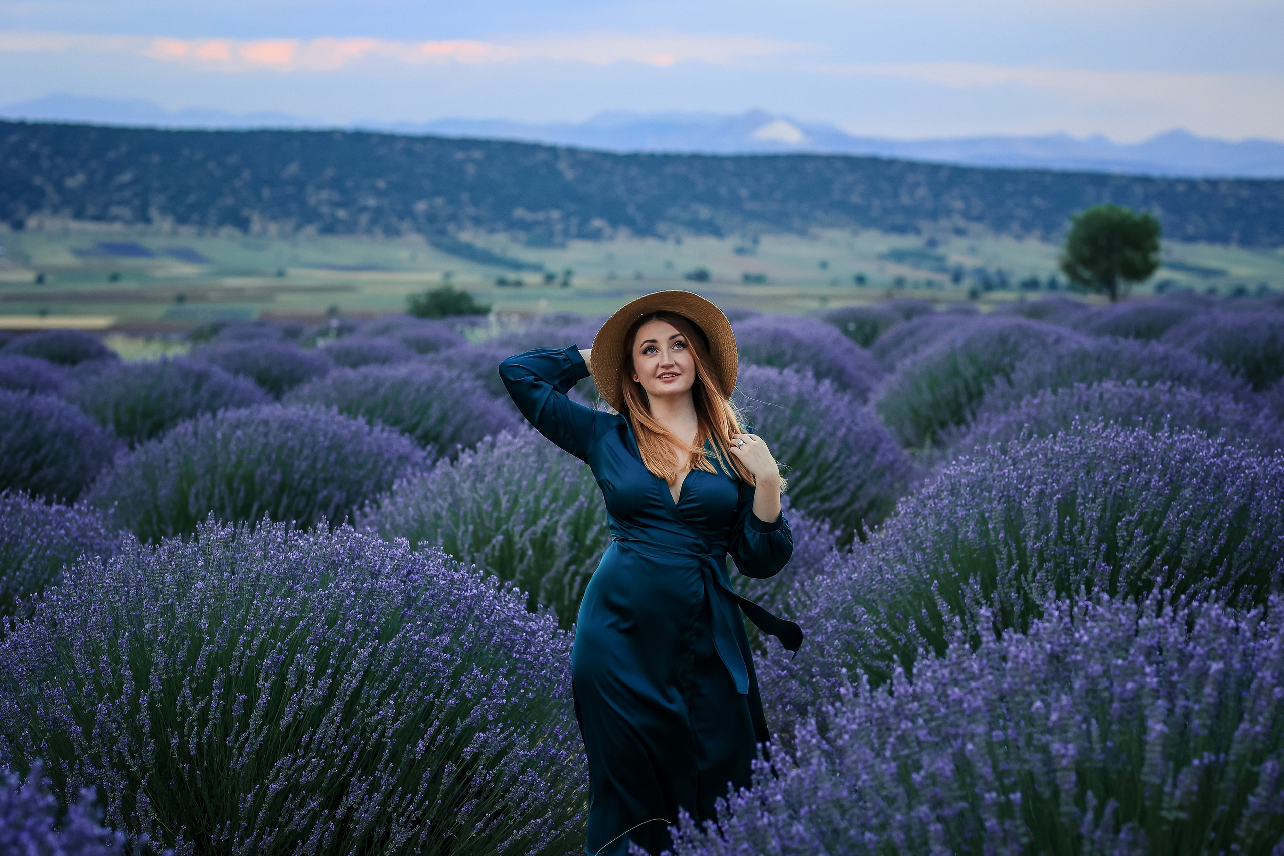 Lavender fields in Turkey
