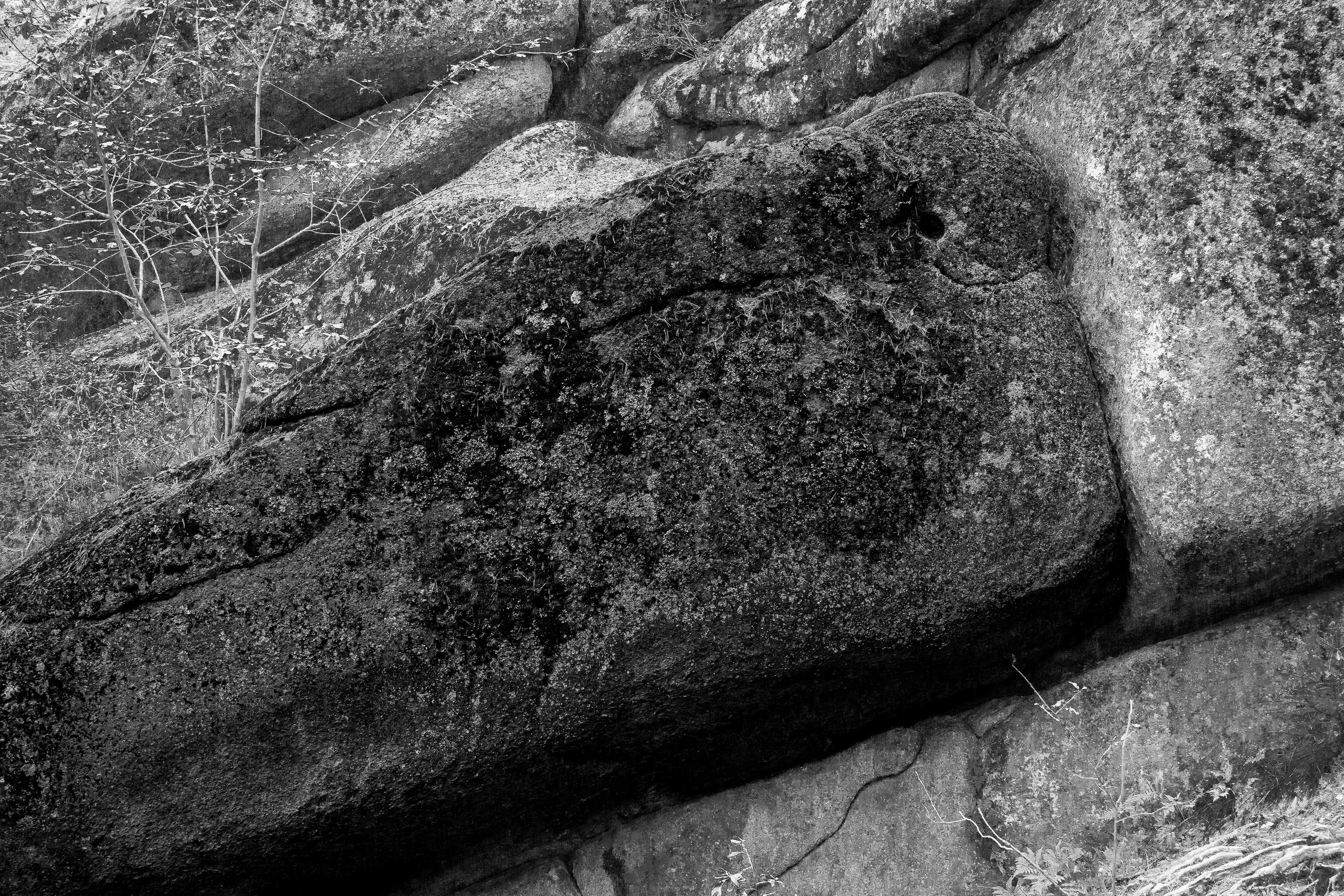 Серия «Горные обитатели». Фотограф в Москве Татьяна Макотра