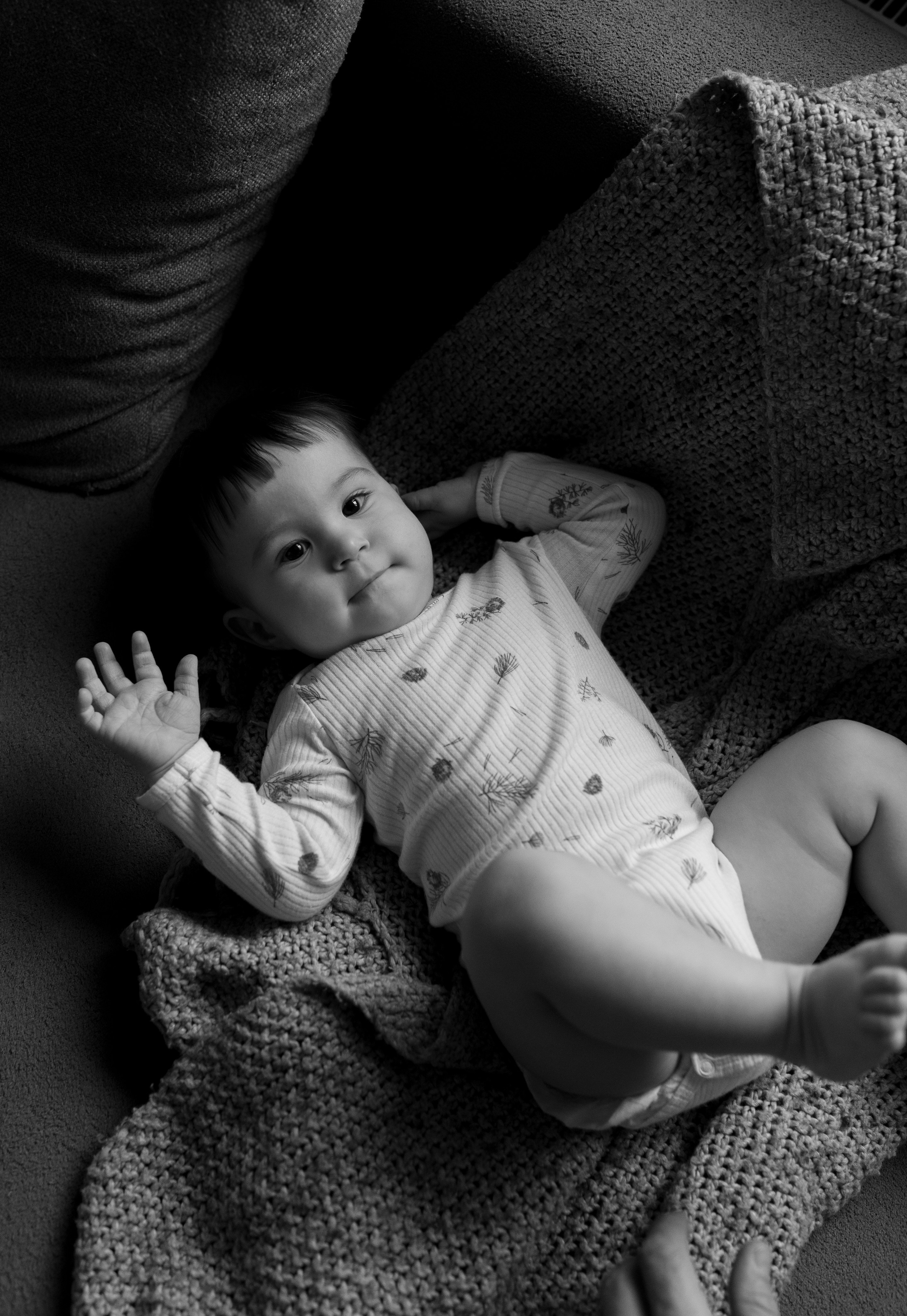 Домашняя история. Meryfotoidea