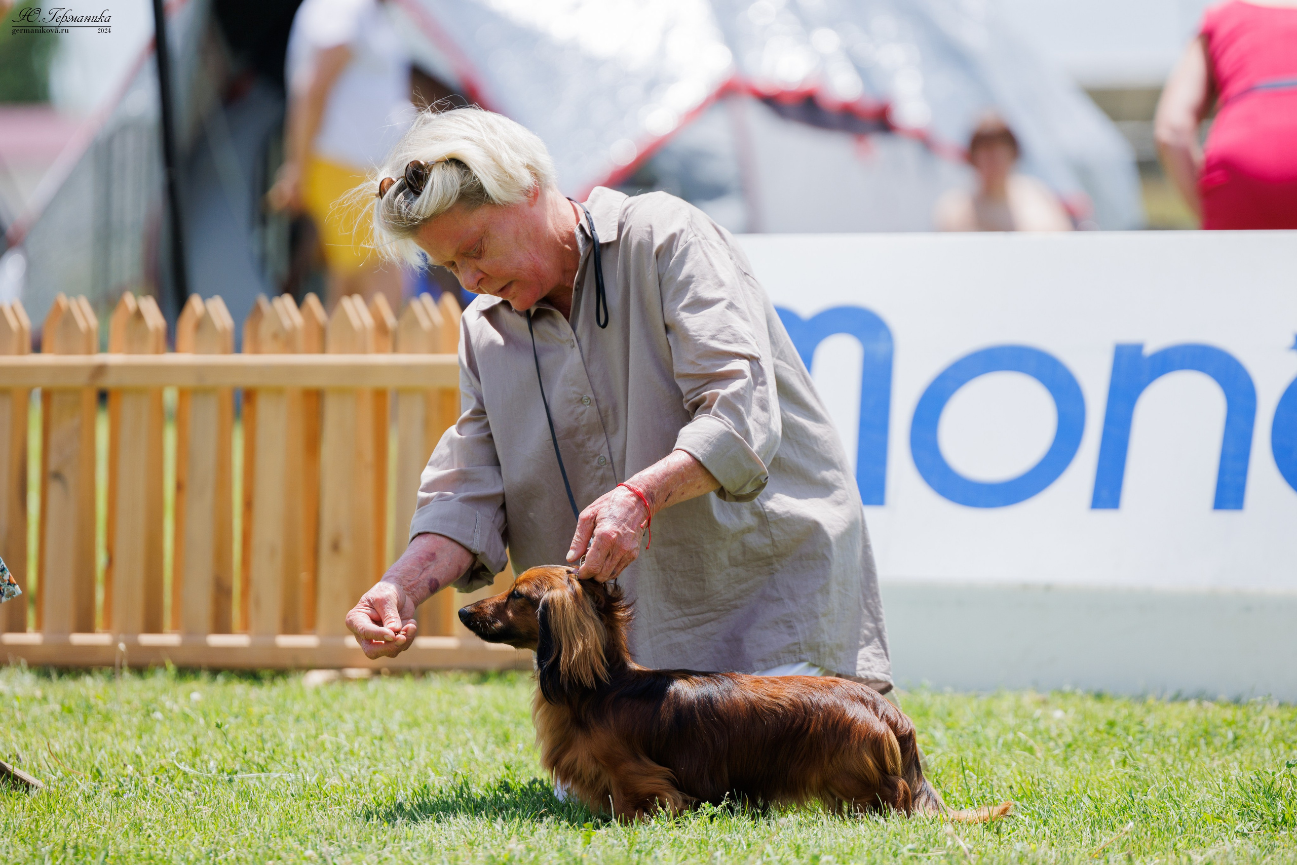 Ереван 3-5.06.2024. Фотограф-анималист Юлия Германика
