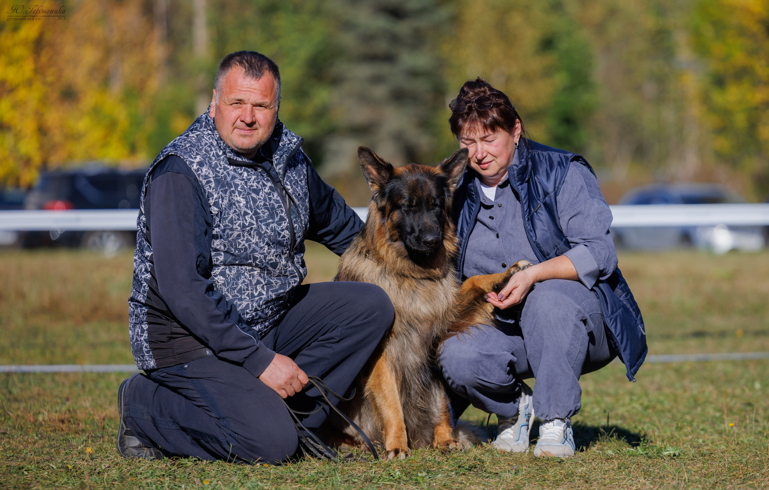 Тверь немецкие овчарки 22.09.2024. Фотограф-анималист Юлия Германика