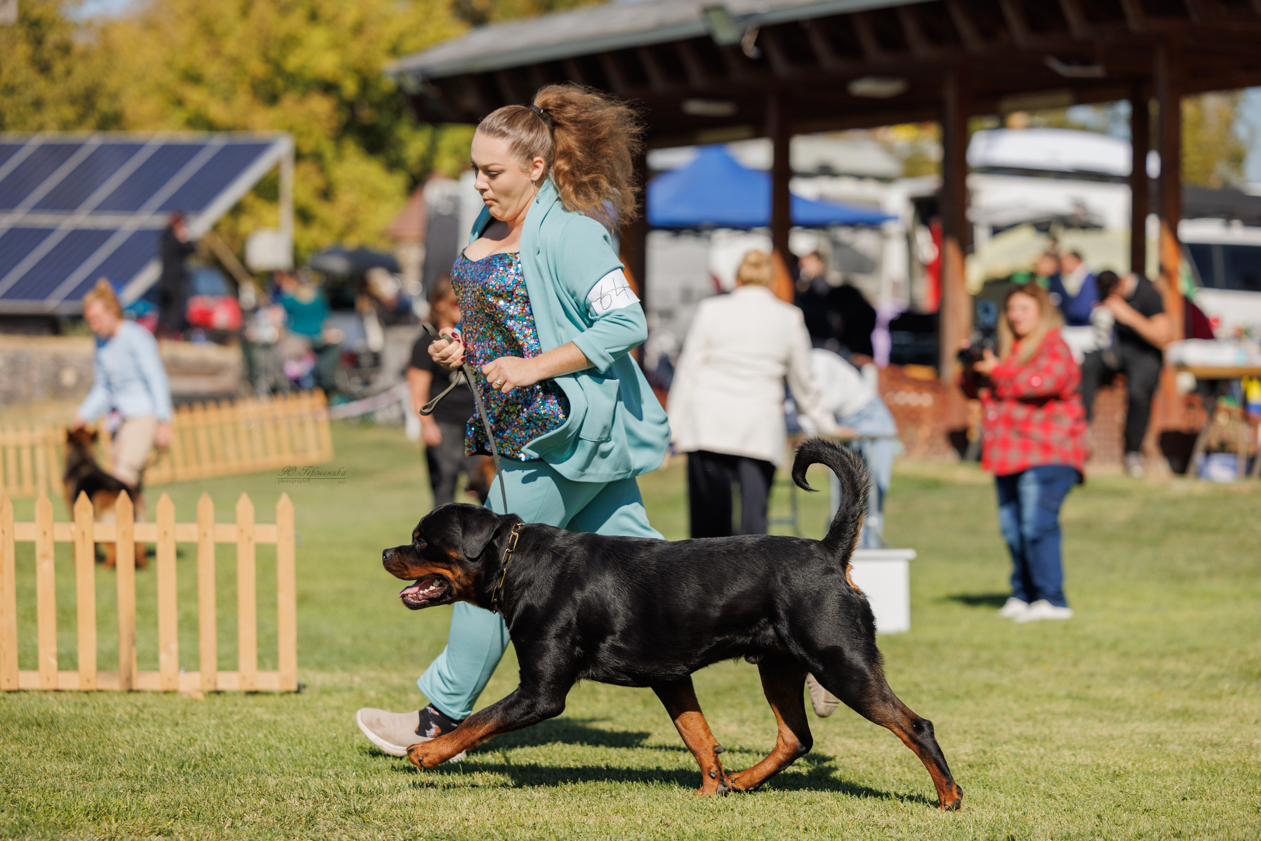 Ереван 14-16.10.2025. Фотограф-анималист Юлия Германика