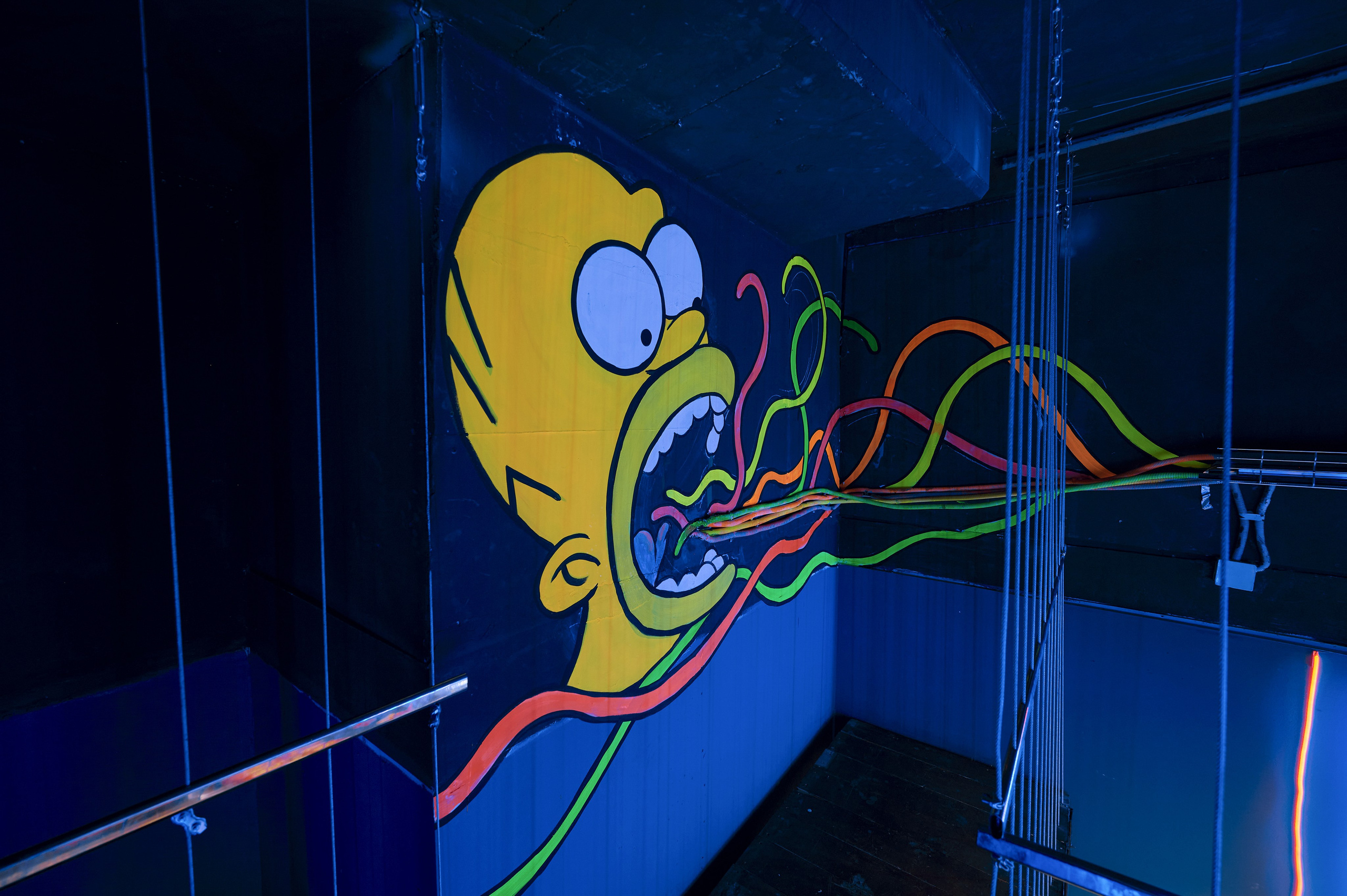 Чеширский Коd — 5 локаций. Фотограф Яковлев Роман — Красноярск