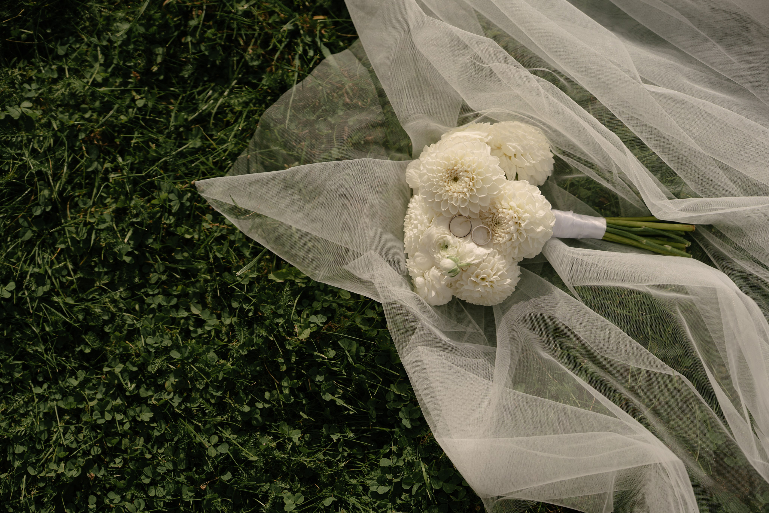 Саша и Катя. Свадебный и семейный фотограф в Москве и Красногорске — живые кадры | Анастасия Тихонова