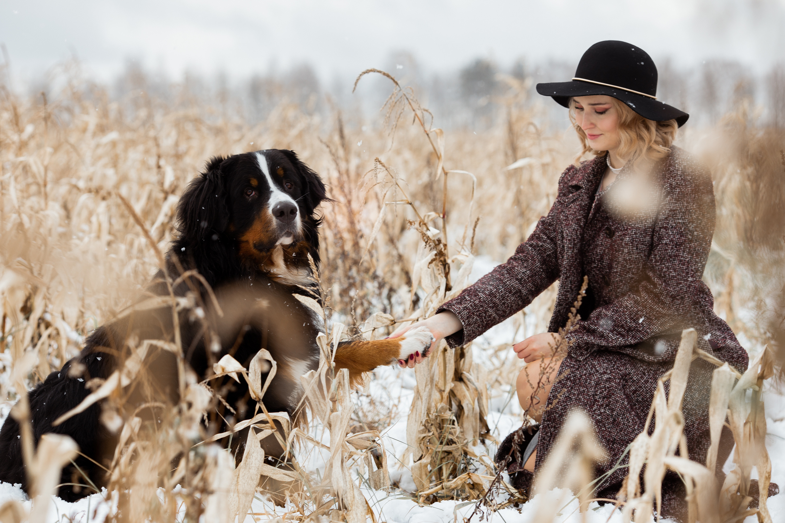 Полина и Александр I 02.11.2019. Свадебный, семейный фотограф в Дзержинске, Нижнем Новгороде Наталья Хр
