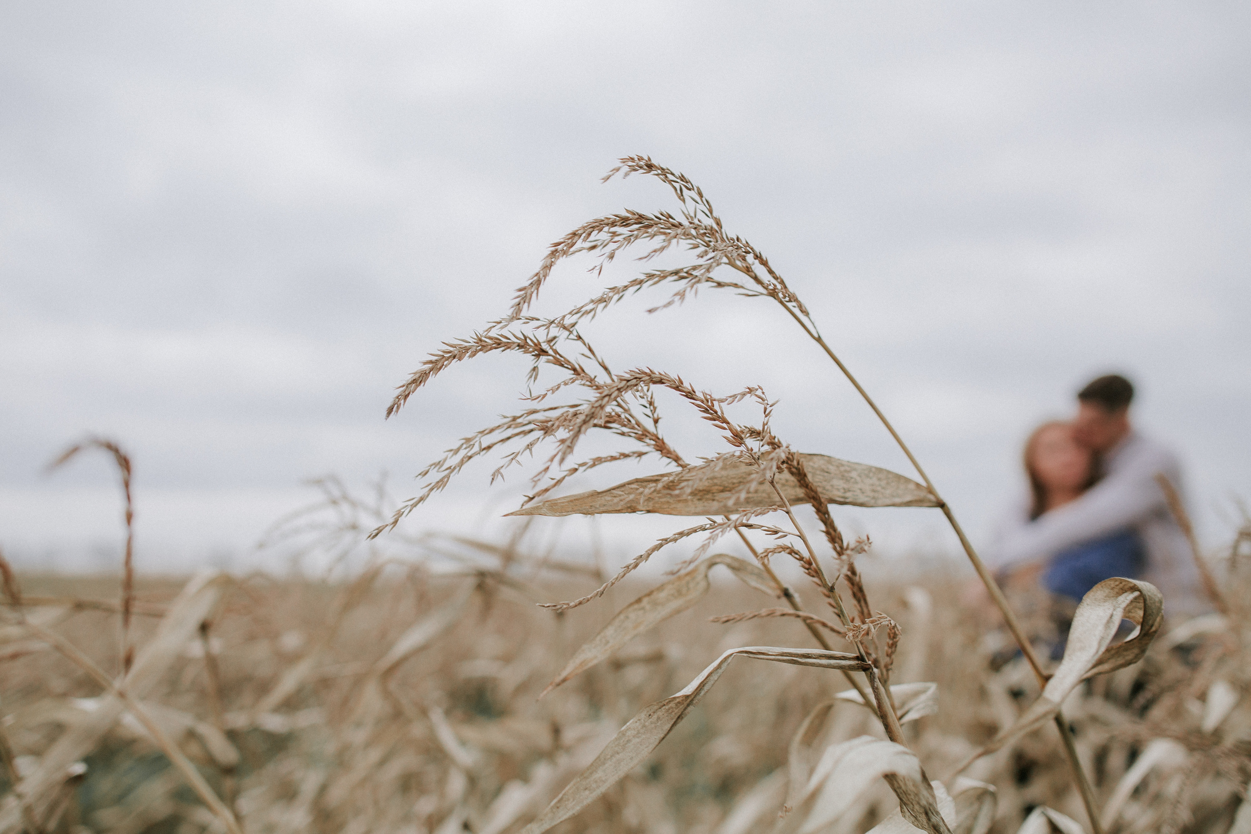 Настя+ Антон I 27.10.2019. Свадебный, семейный фотограф в Дзержинске, Нижнем Новгороде Наталья Хр