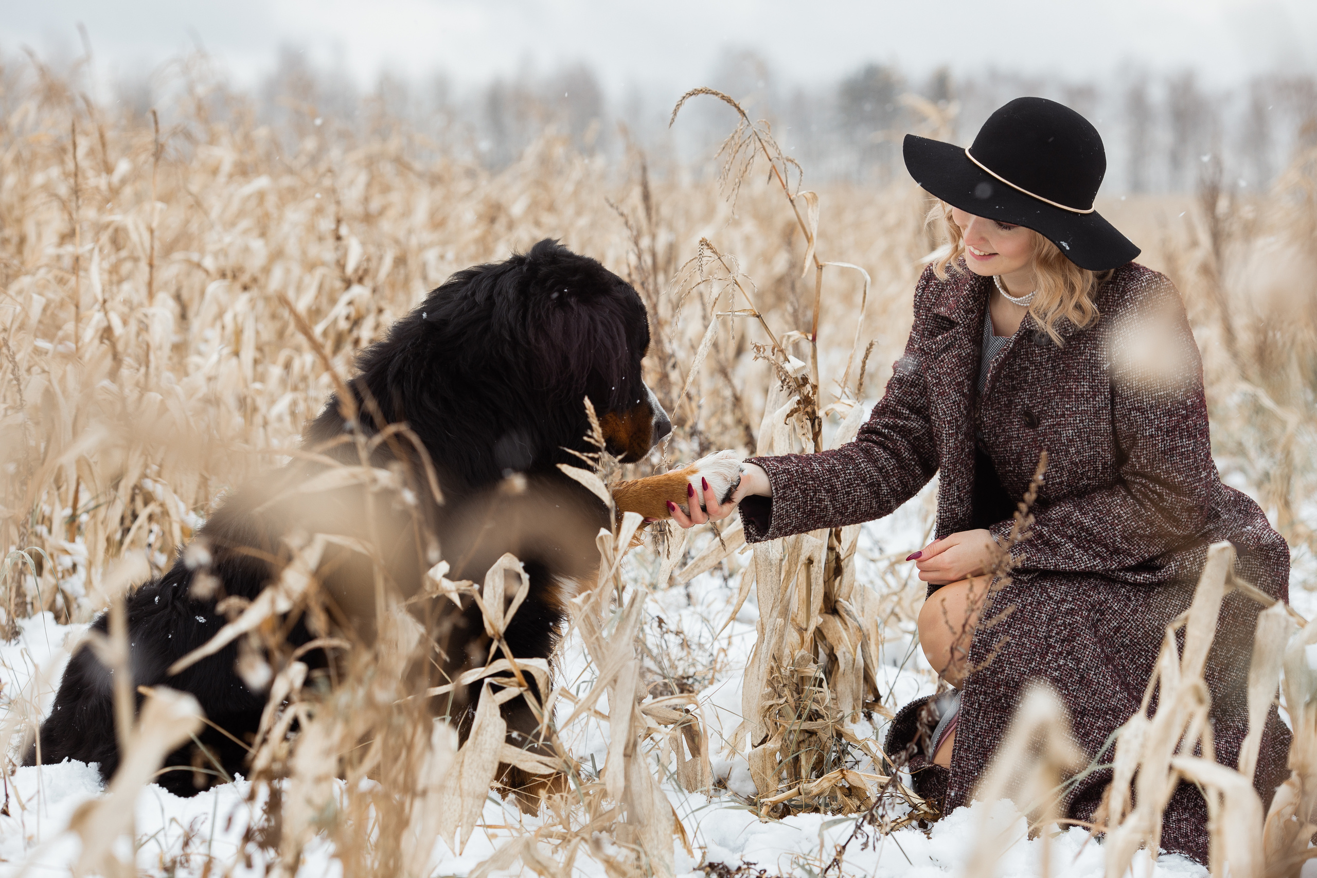 Полина и Александр I 02.11.2019. Свадебный, семейный фотограф в Дзержинске, Нижнем Новгороде Наталья Хр