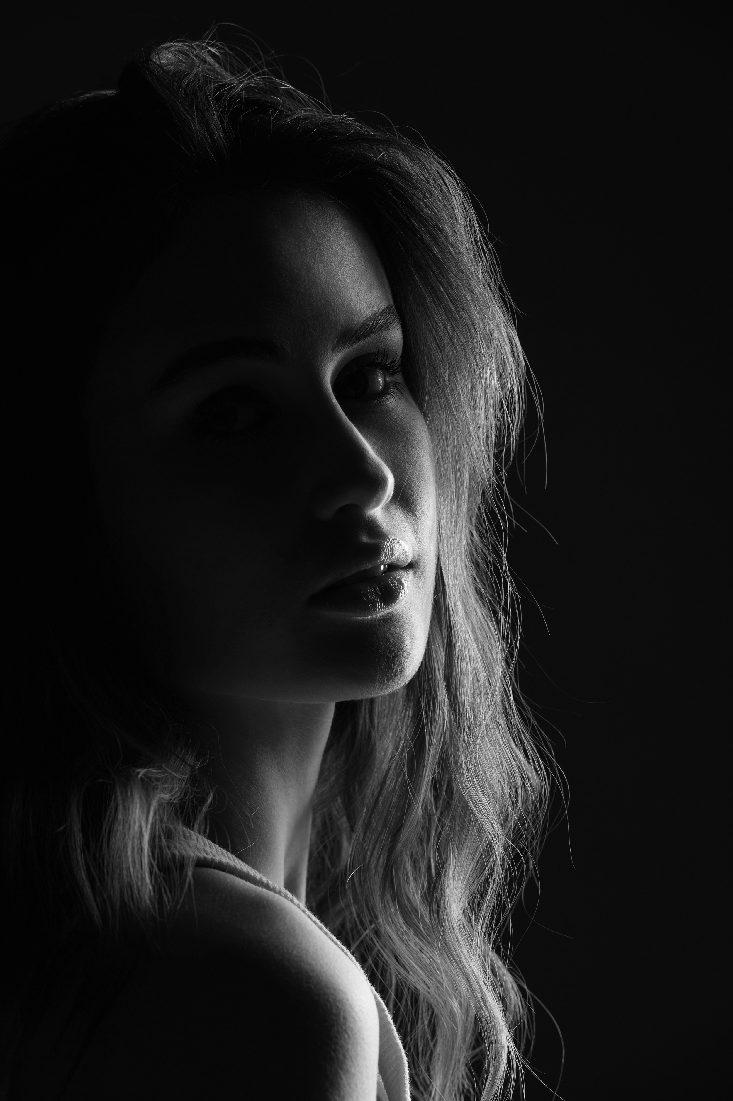 Level 0 — Monochrome