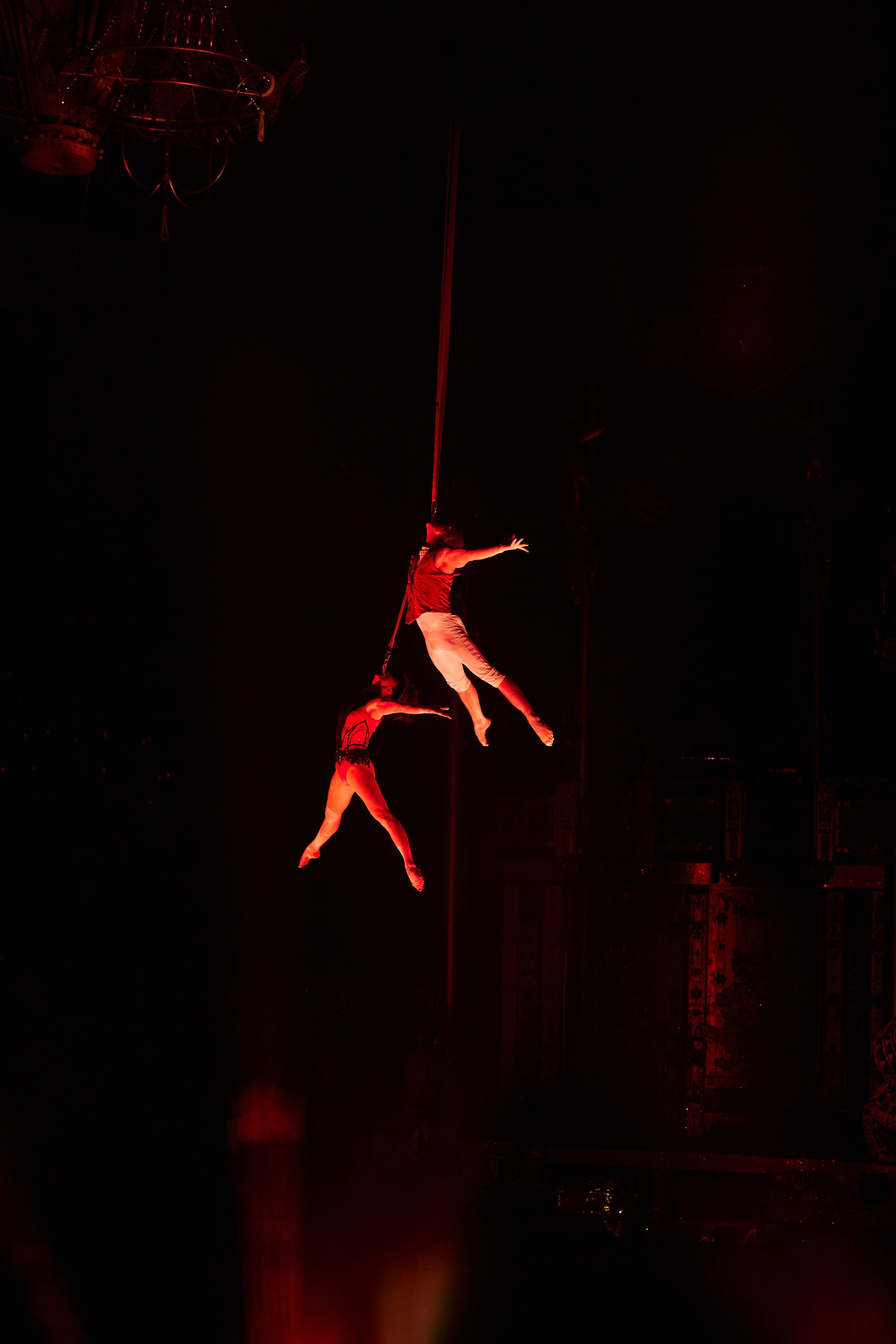 Королевский цирк Гии Эрадзе. Свадебный и семейный фотограф