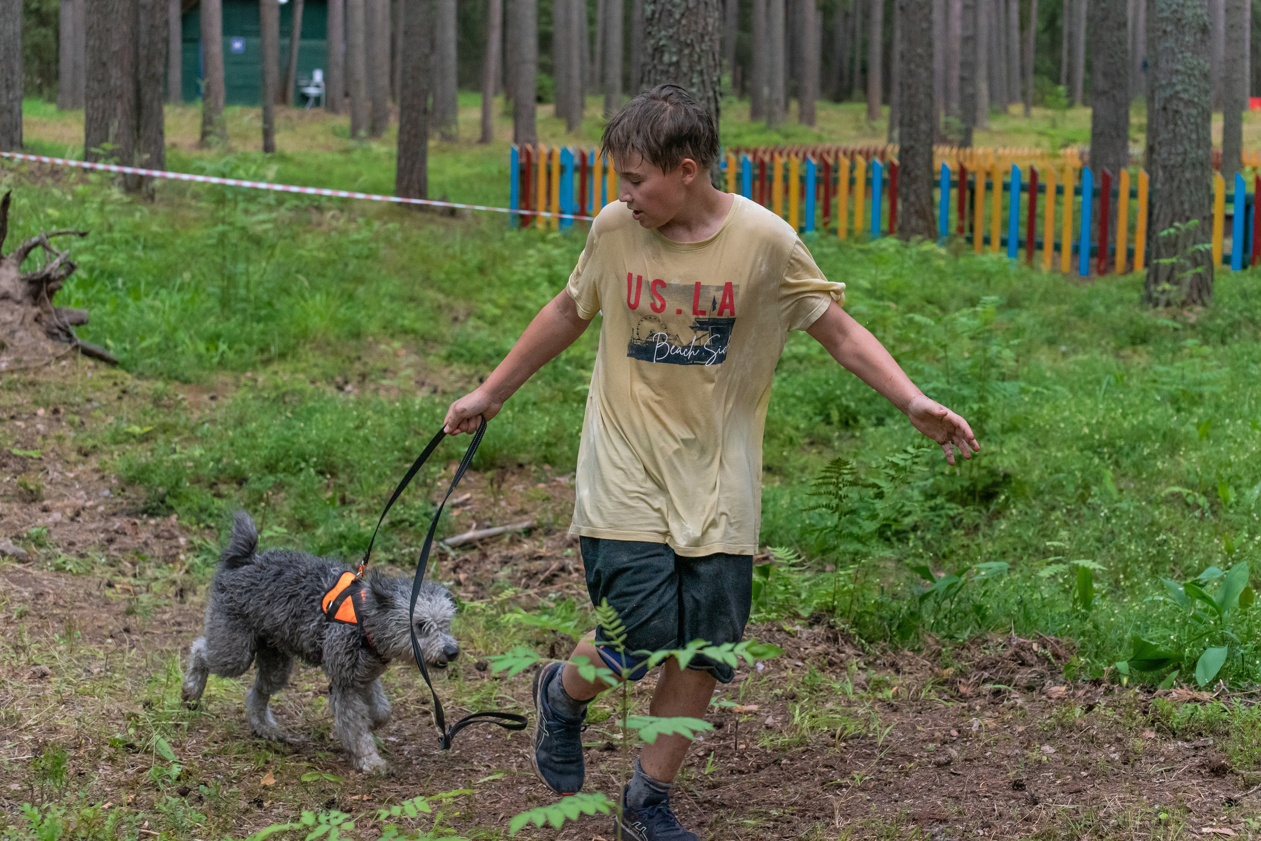Хвостатые каникулы Детский кинологический лагерь. Фотограф Макс Огурцов в Нижнем Новгороде