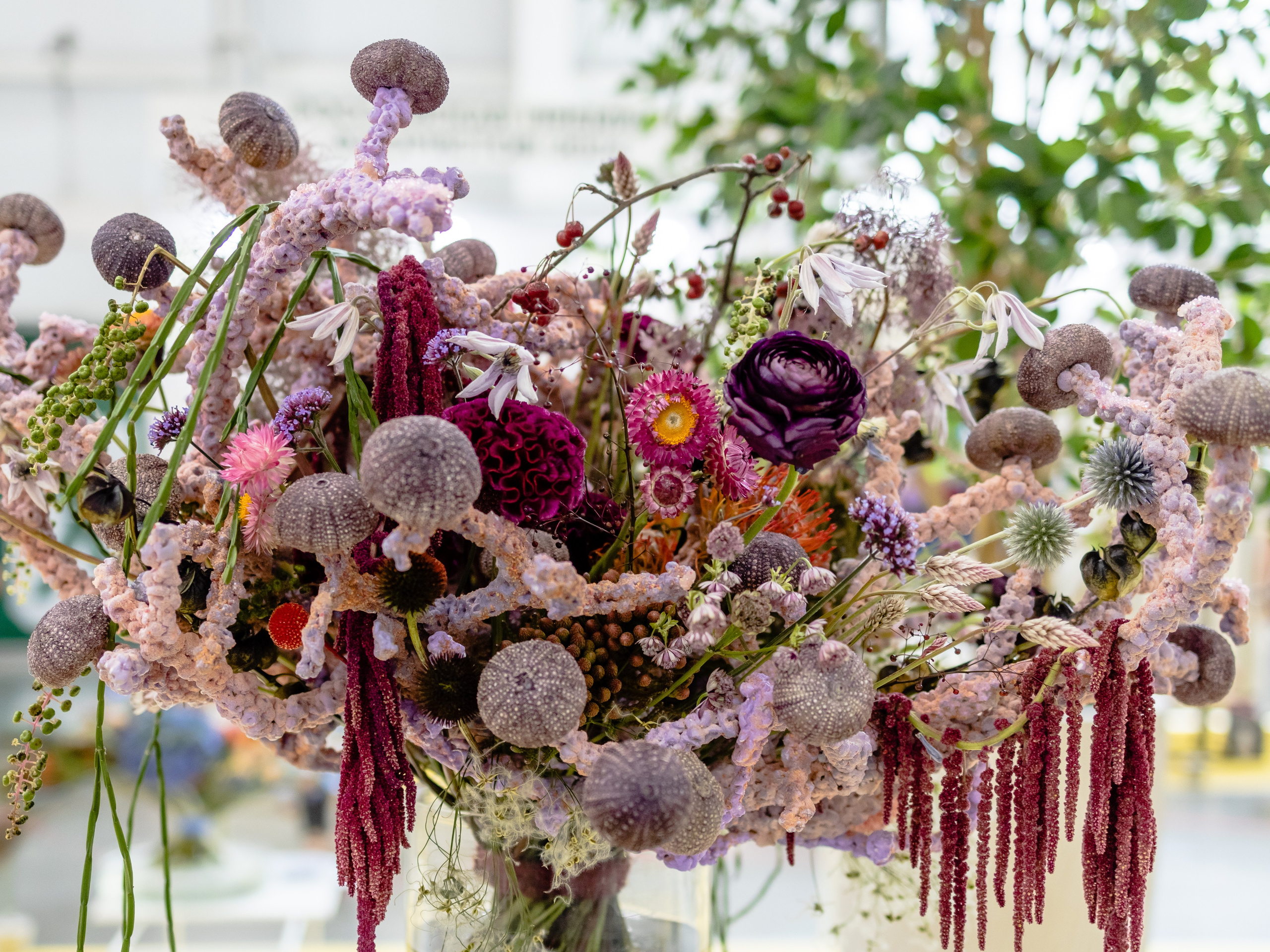 Цветы-Экспо 2024. Фотосессии и репортаж — Фотограф в Москве — Рина Серёгина