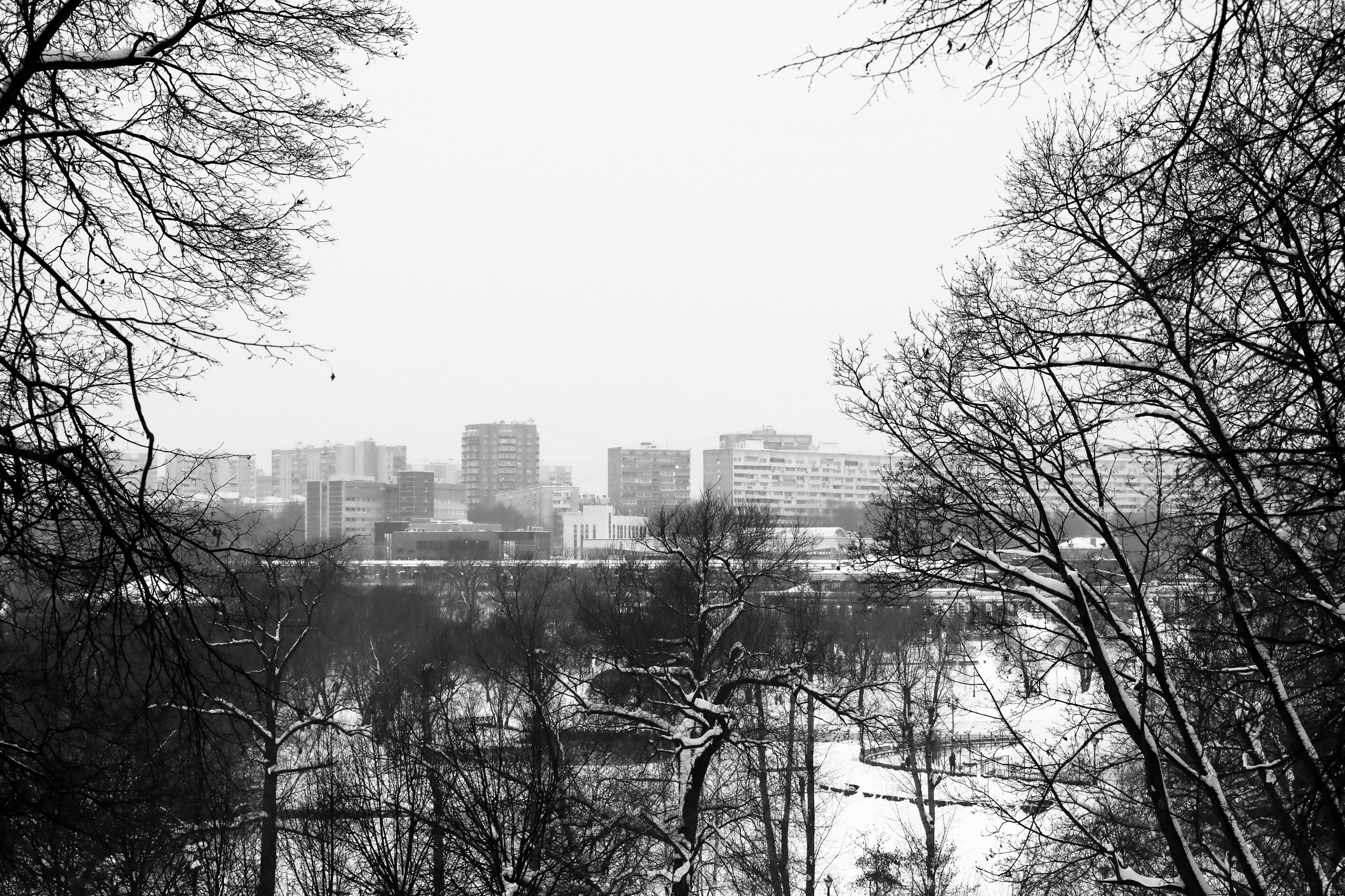 Чёрно-белая зима 25-26. Фотосессии и репортаж — Фотограф в Москве — Рина Серёгина
