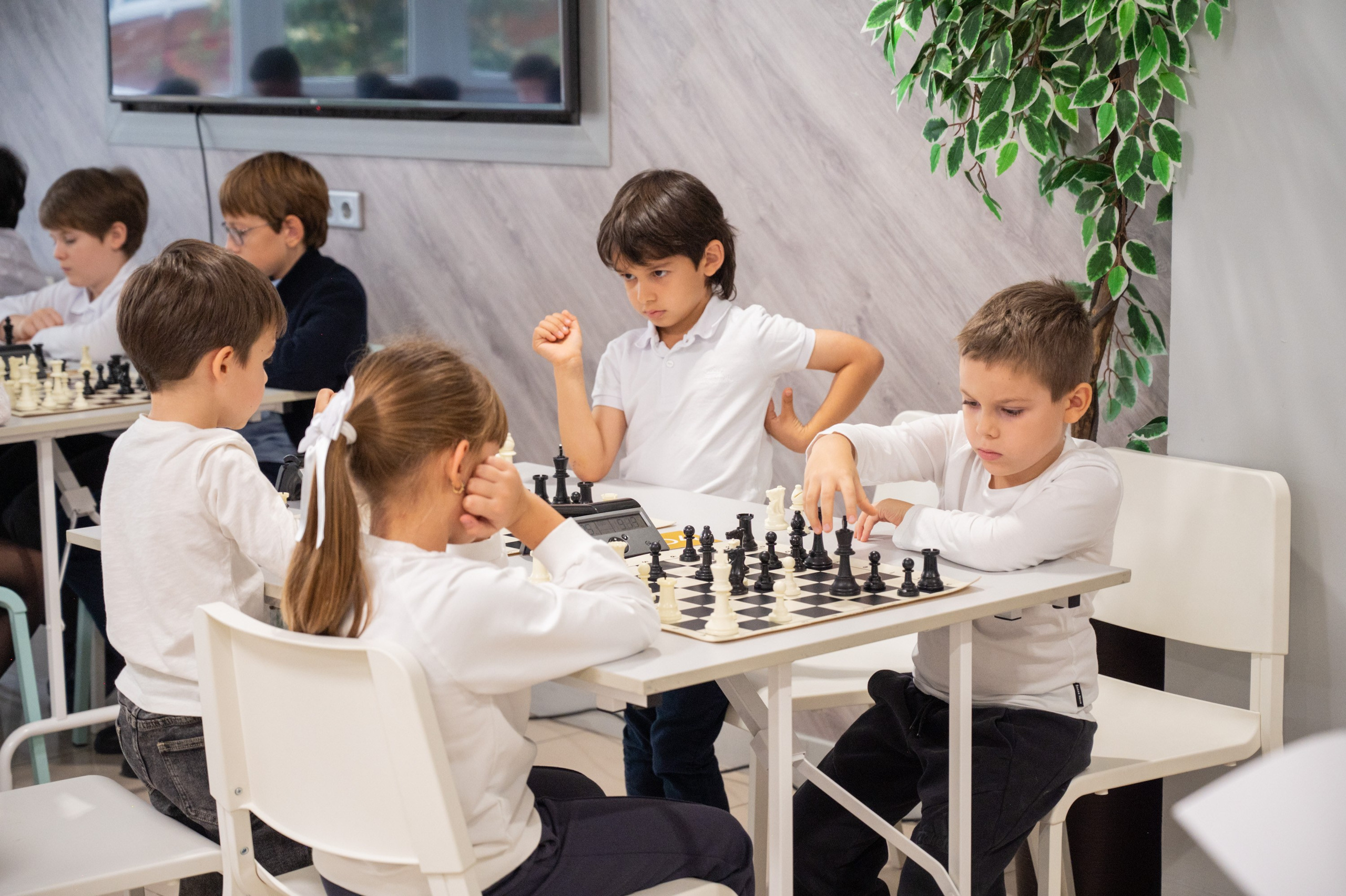 Турнир по быстрым шахматам «ОСЕННИЙ КУБОК"♟. Фотографирую счастливых людей в Сочи