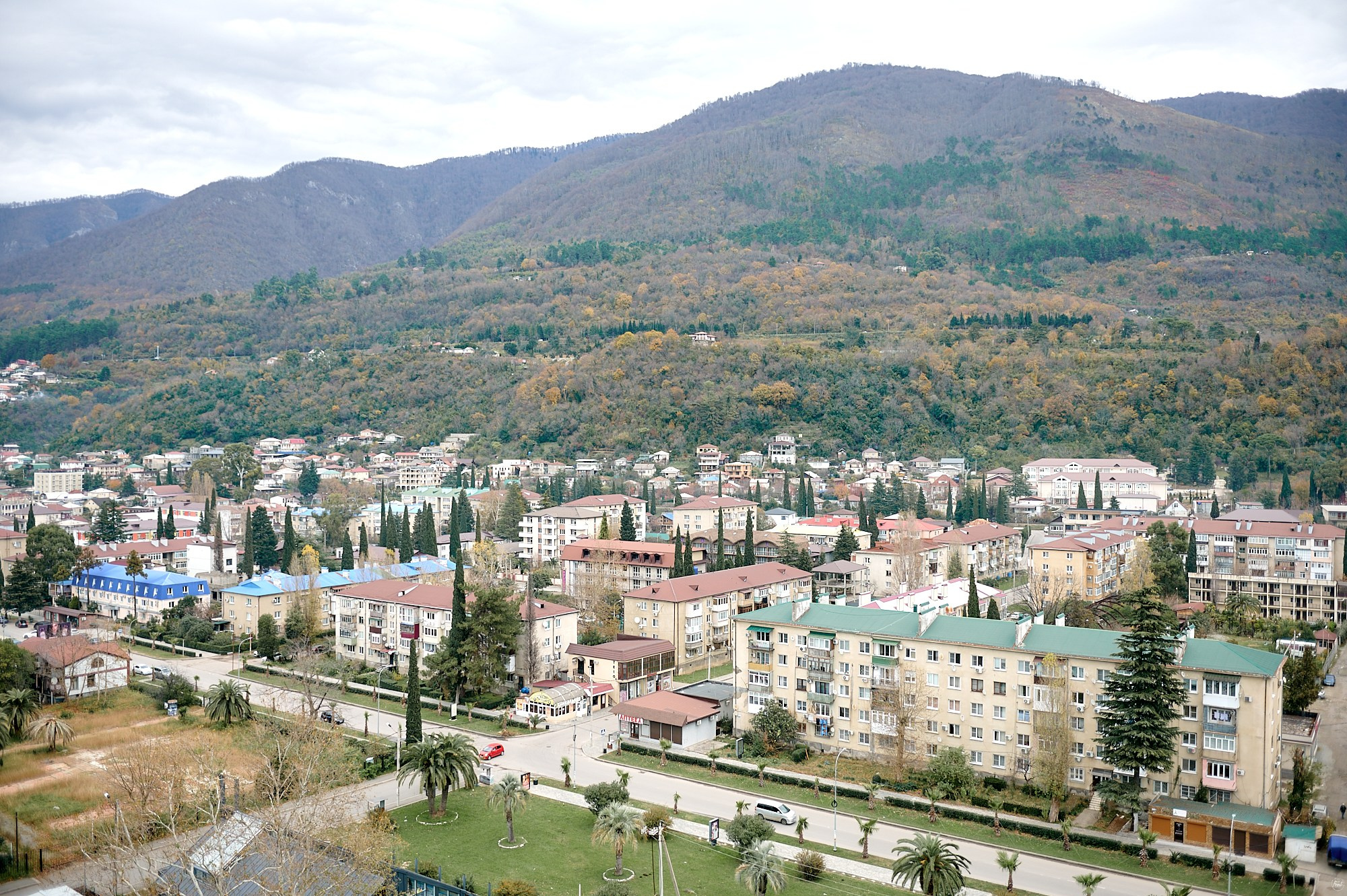 Гагра, Абхазия. Декабрь 2024. Фотографии отовсюду и обо всем