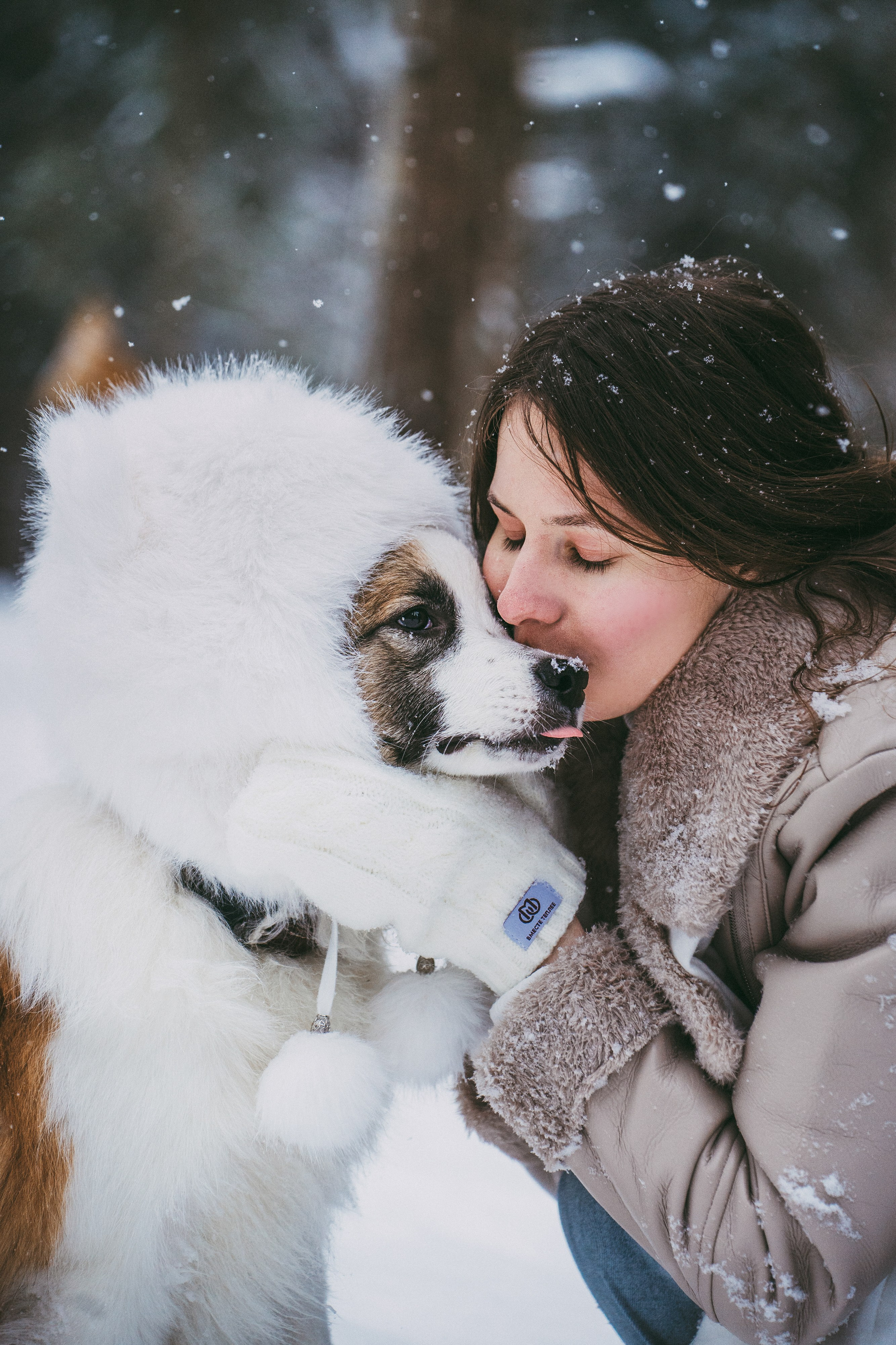 Катя, Анатолий и Елай. Фотограф анималист в Москве и Санкт-Петербурге Свиридова Анна