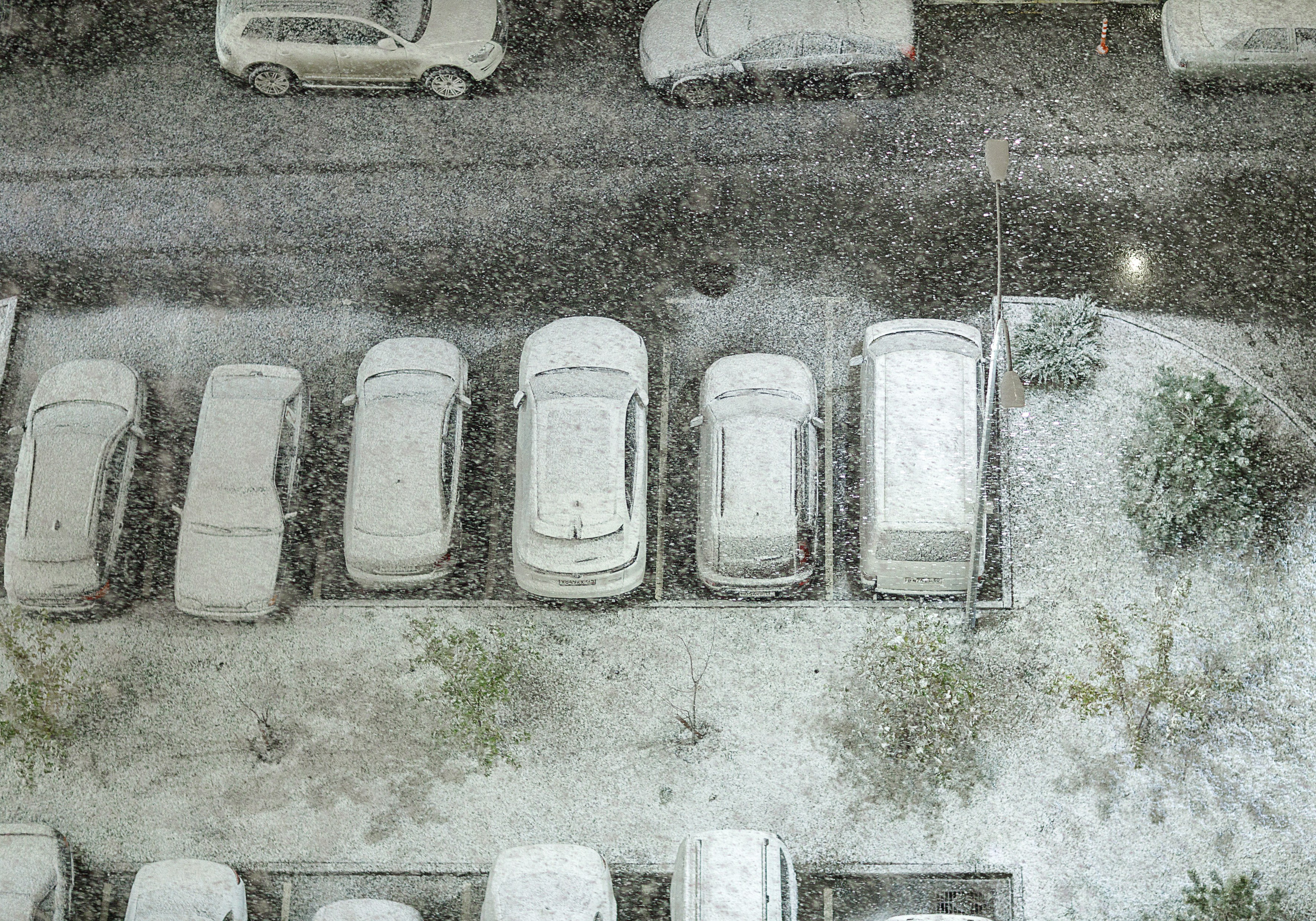 Проект «366»|2024|Фото каждый день. LENA GRACE photographer ||ЛЕНА ГРЭЙС фотограф