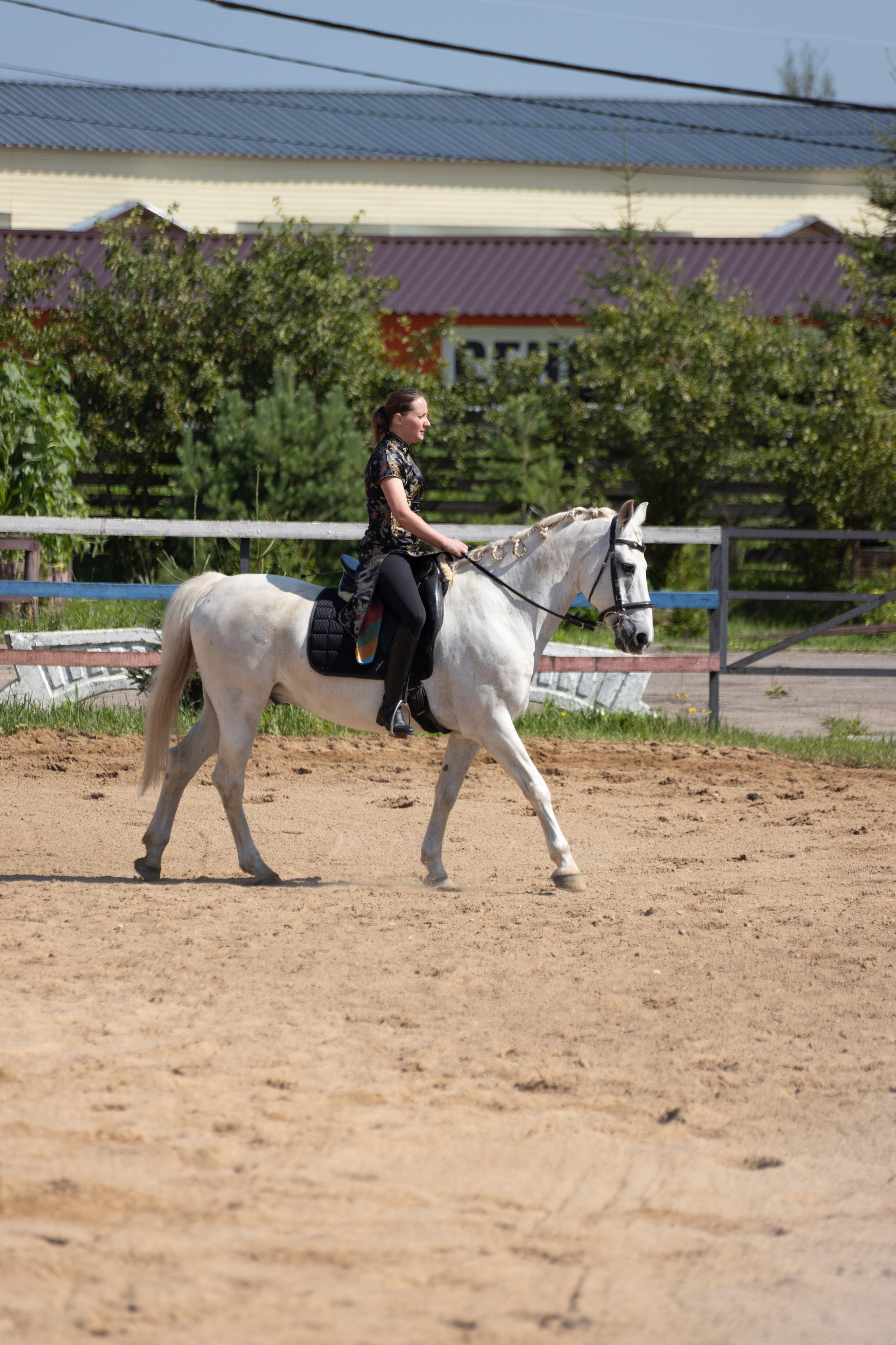 Конюшня. Фотограф в Москве и Истре