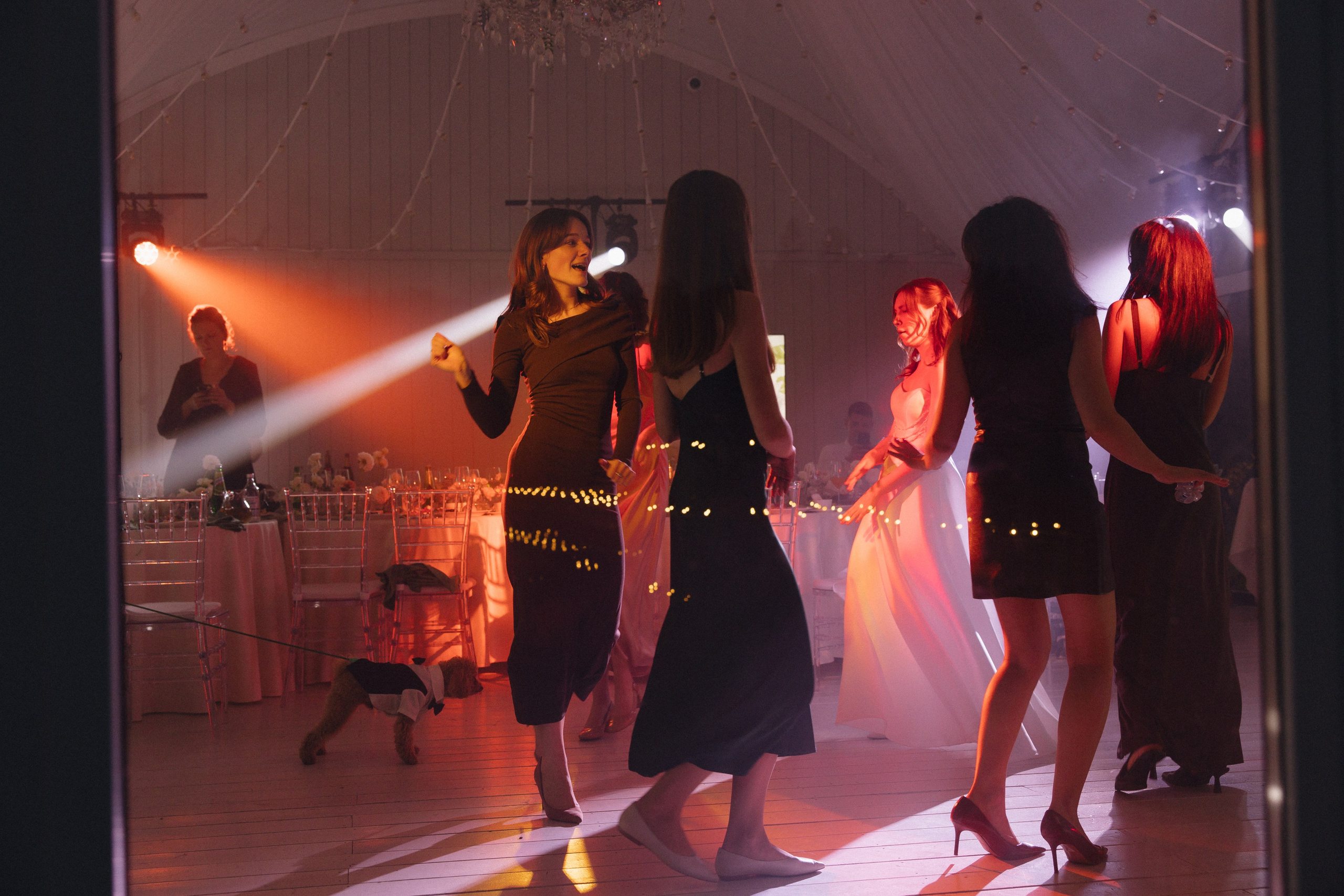 Фото. ПроСвет — Свет на свадьбу