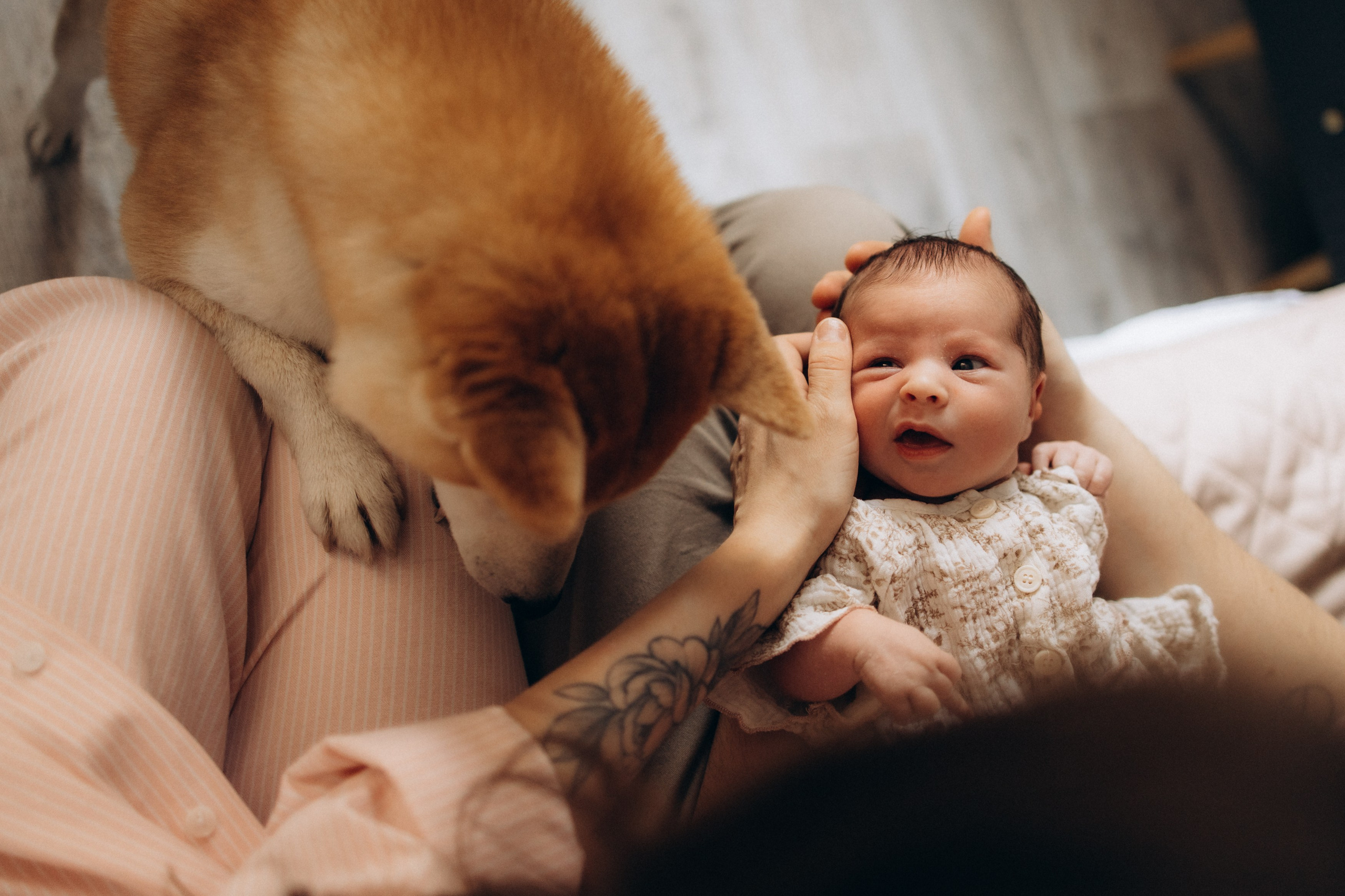 Малышка Луна. Семейный, ньюборн newborn фотограф, фотограф новорождённых в Санкт-Петербурге, Пушкине, Павловске. Павлова Анастасия