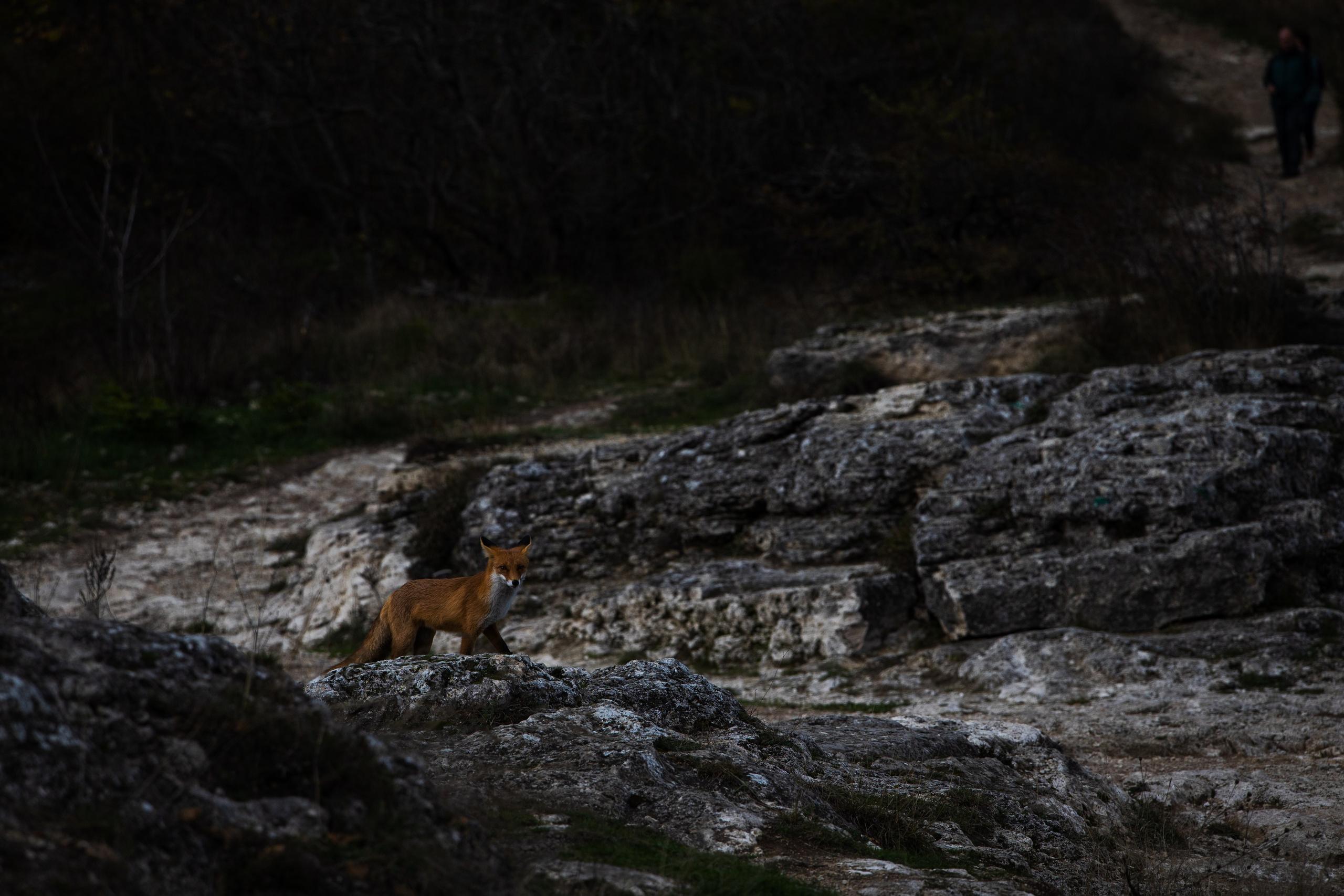 Пятигорск. Портретный и уличный фотограф в Москве Таня Корнеева