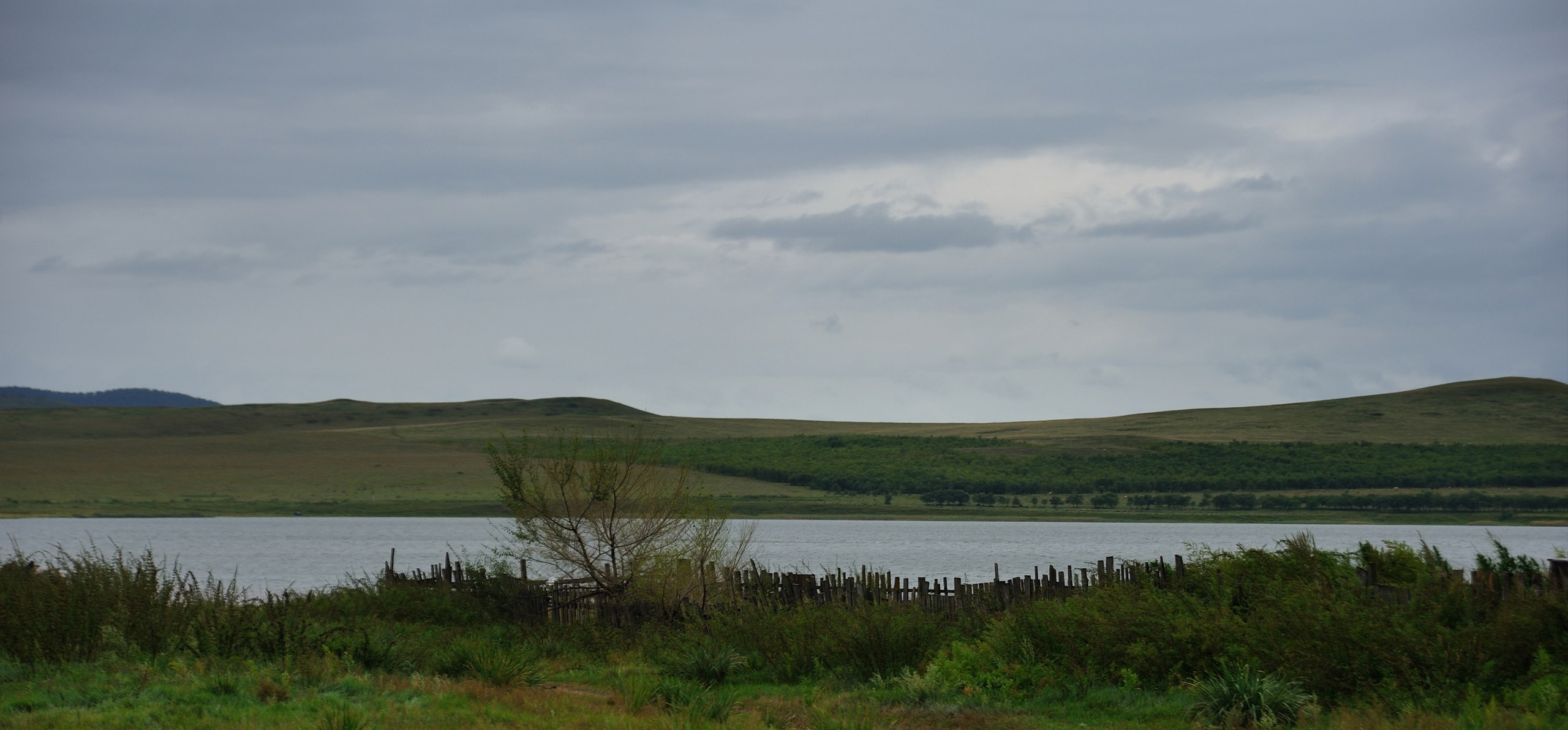 Хакасия цвет. Катерина Михеева