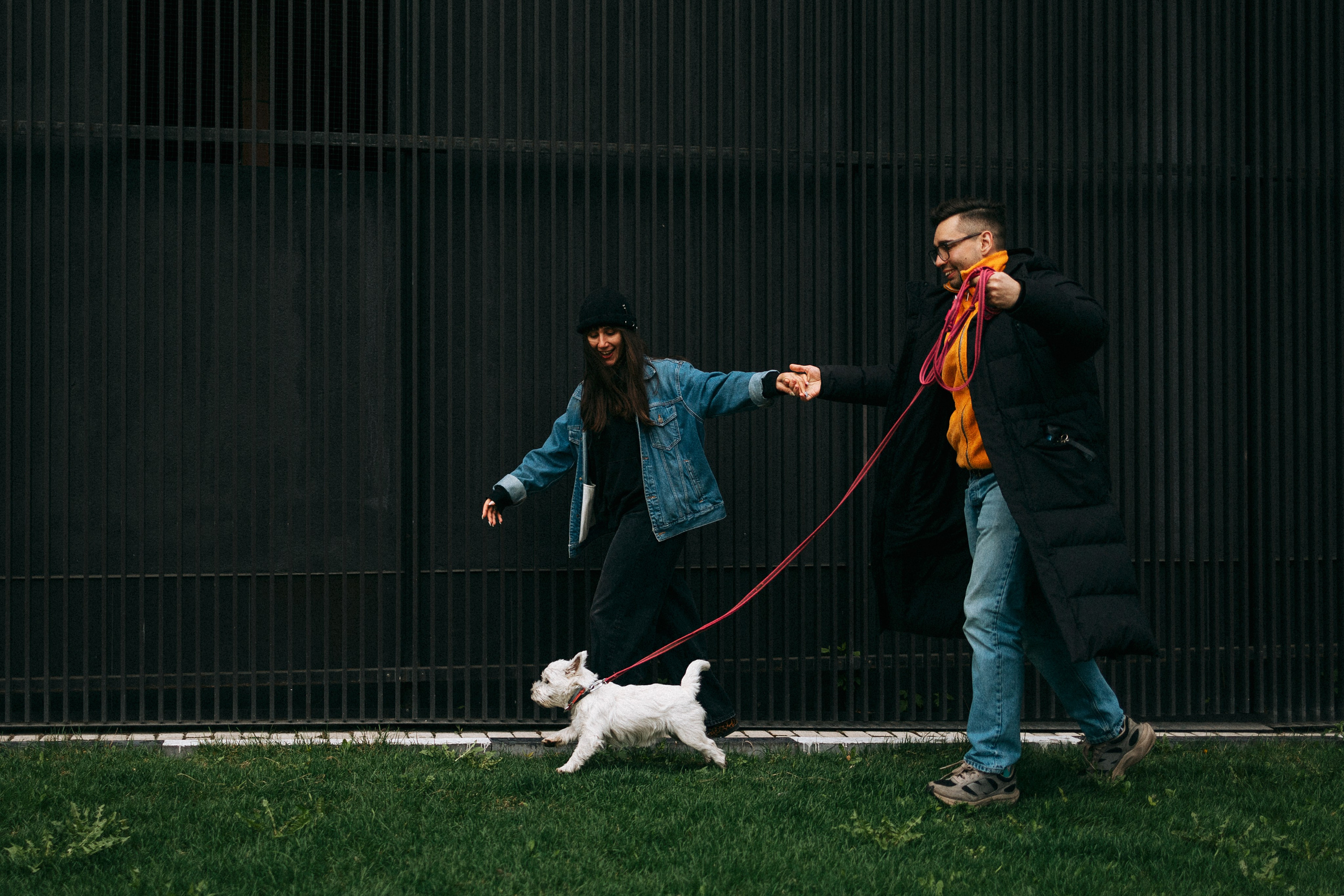 Снежуля, Мари и Саша. Фотограф анималист Анастасия Пикей