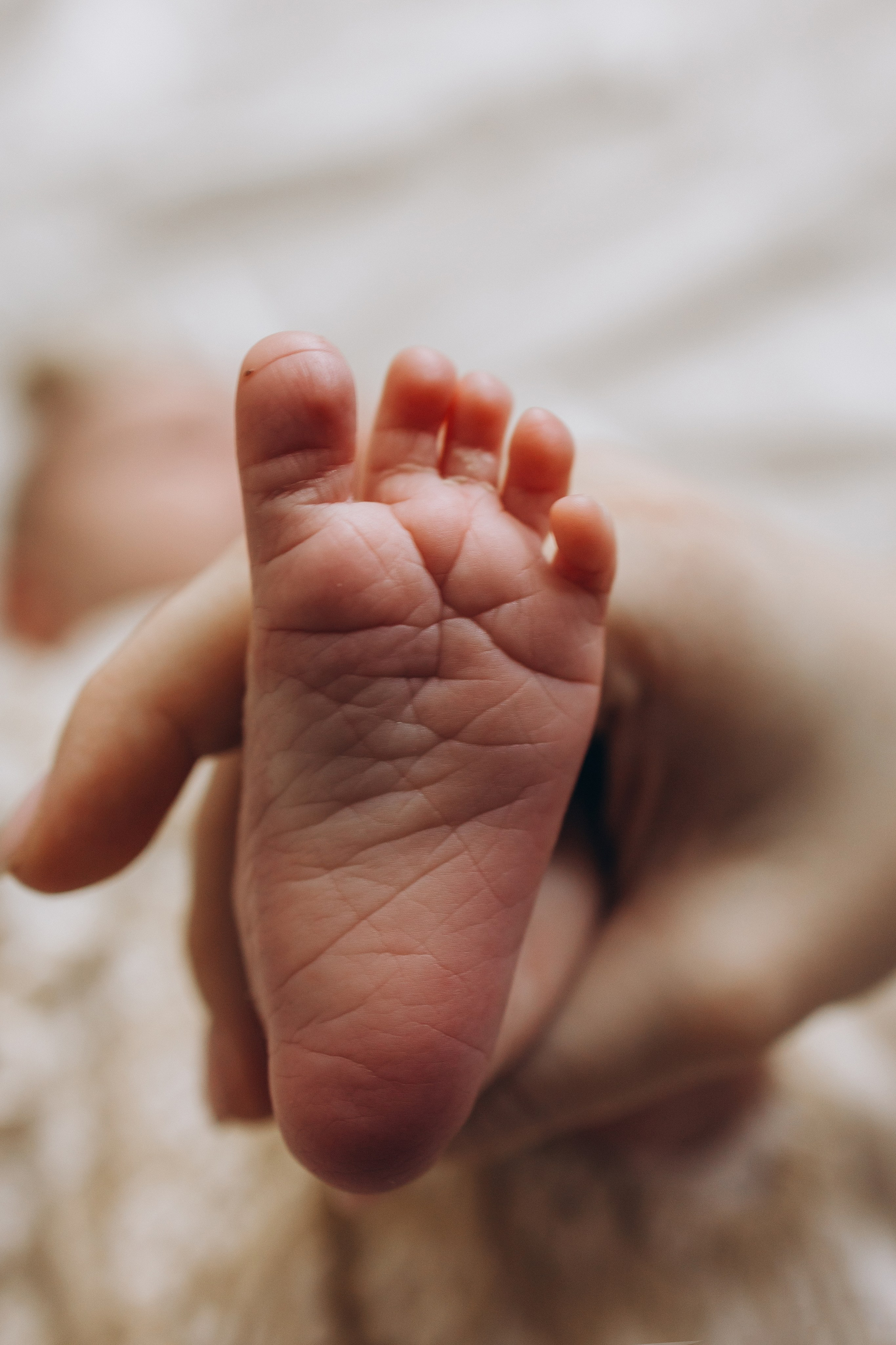 Мария. Фотограф новорождённых Newborn Москва