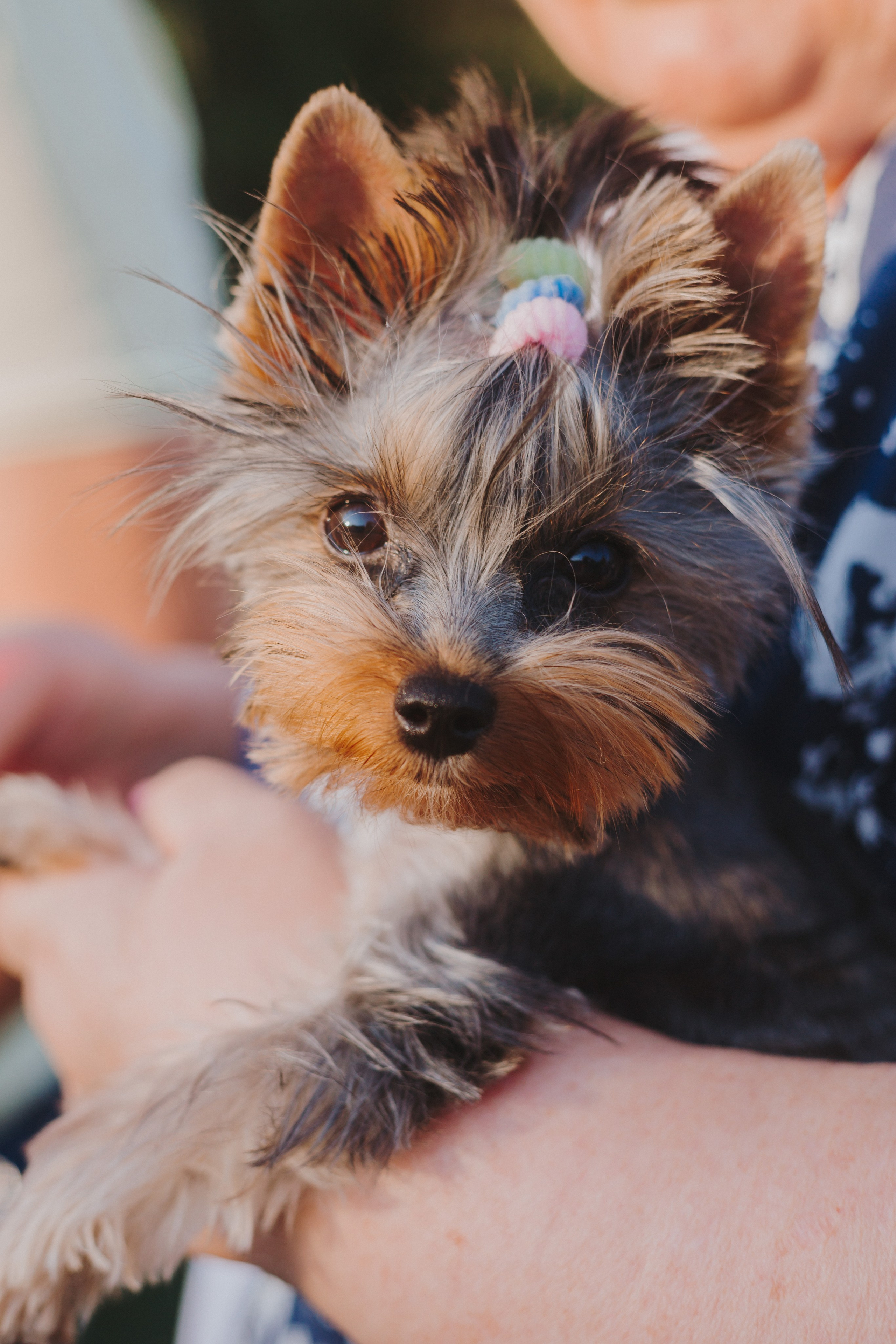 Гендер-пати. Свадебный и семейный фотограф г. Волгоград Биленко Ангелина