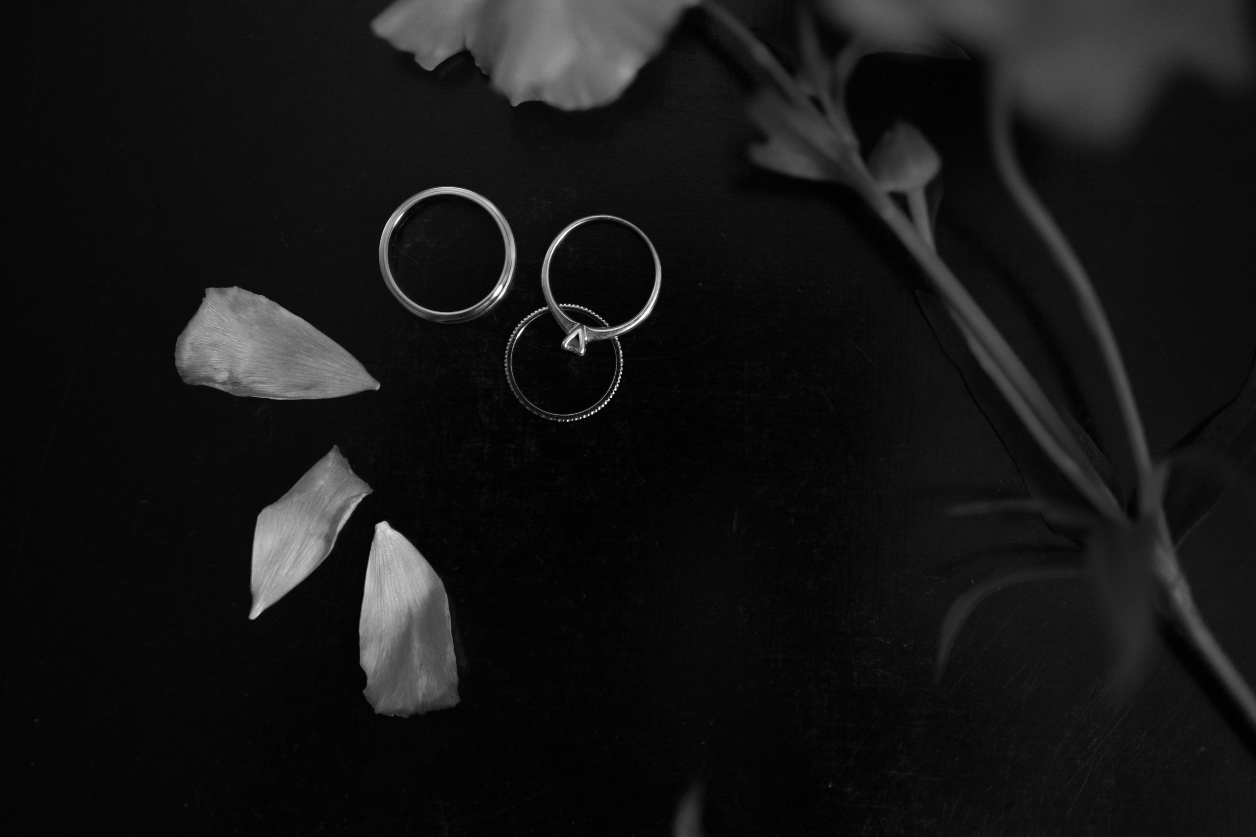 Анастасия и Павел. Свадебный фотограф Марина Попова