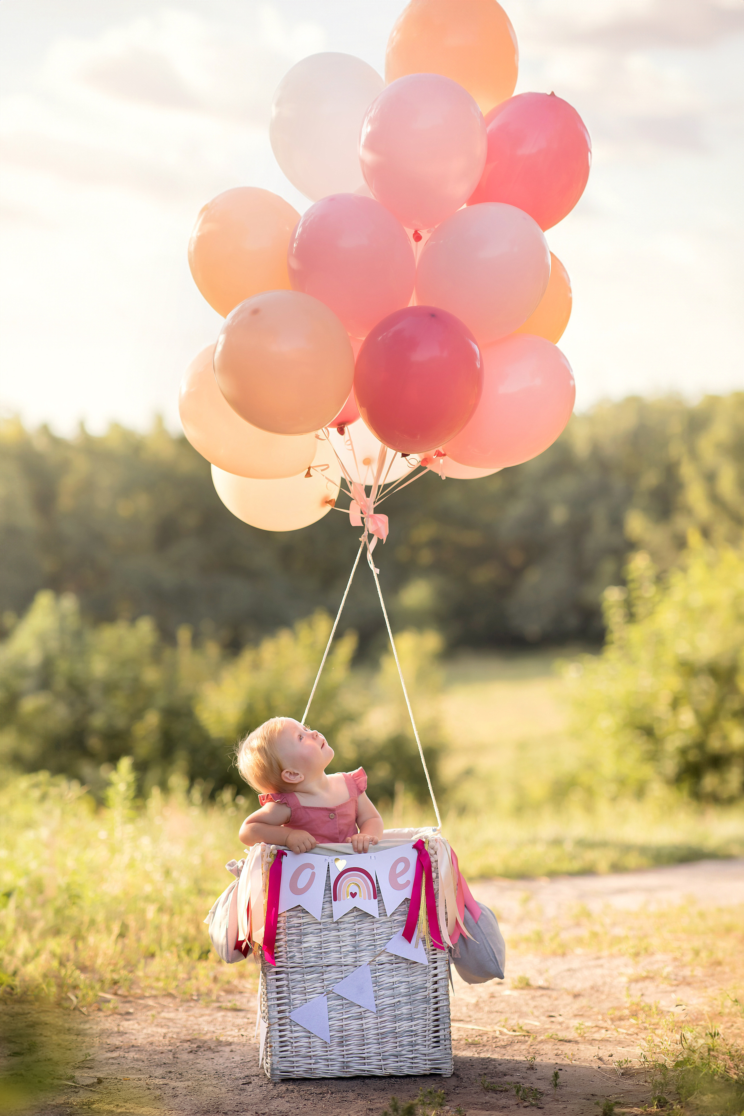 Годовасие Лизы. Фотограф на крещение и венчание