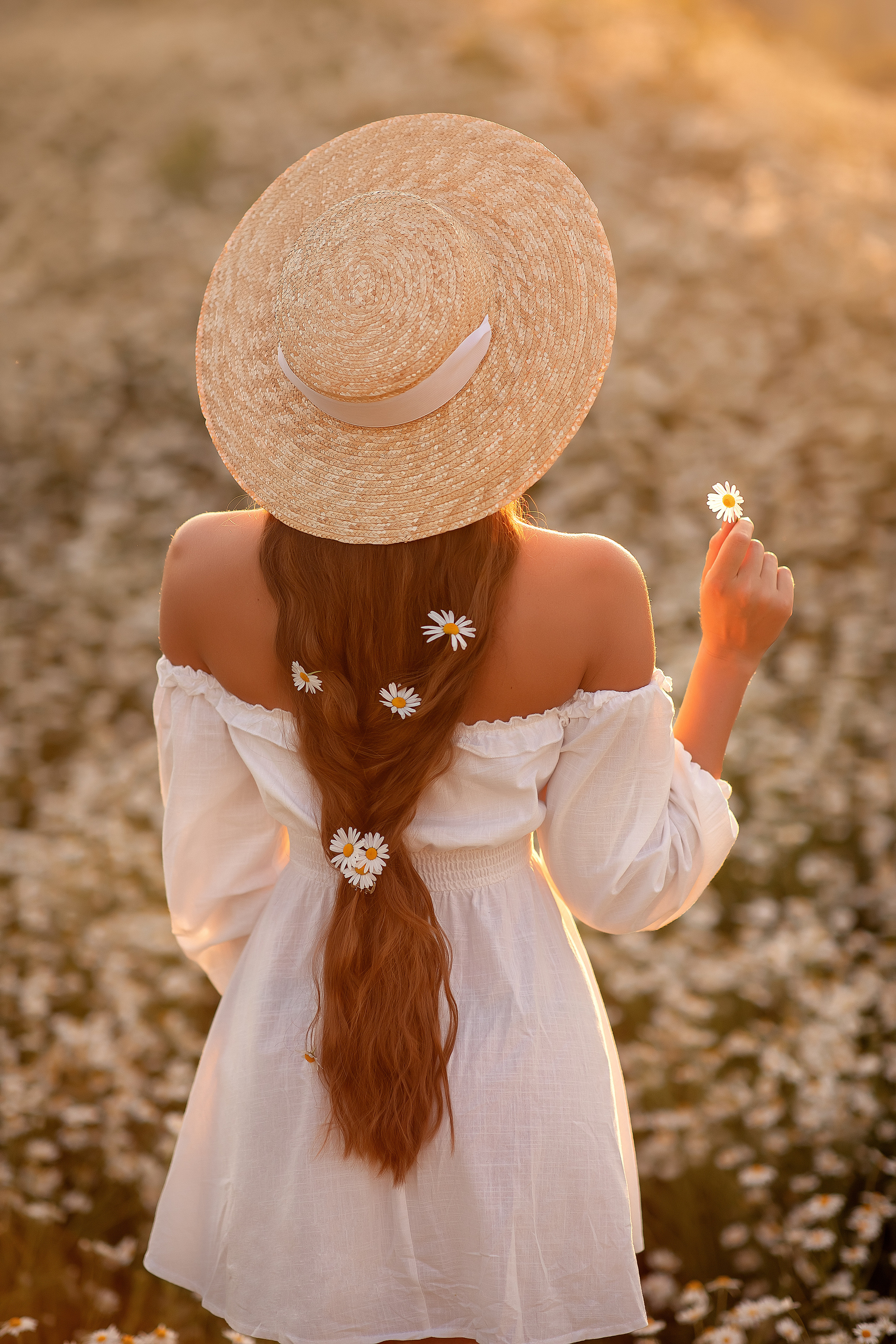 Люба ромашки. Фотограф на крещение и венчание