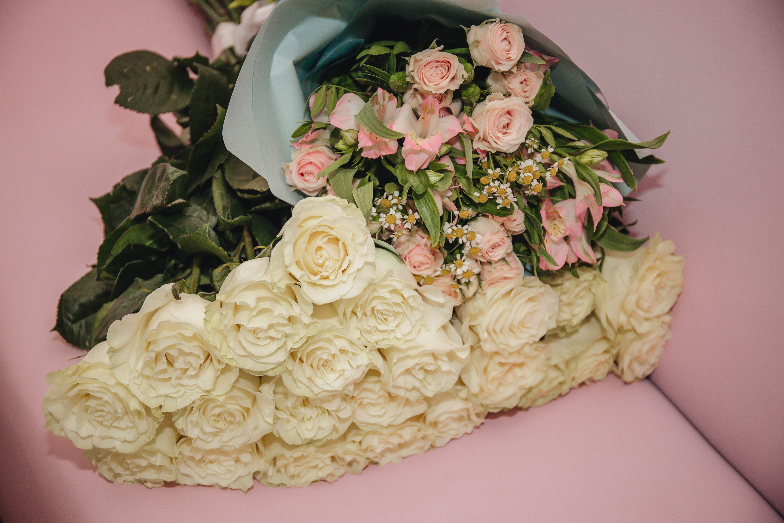 Выписка Ники. Свадебный и семейный фотограф Пушкин Царское Село СПБ Питер Санкт-Петербург и Рязань Ольга Козлова