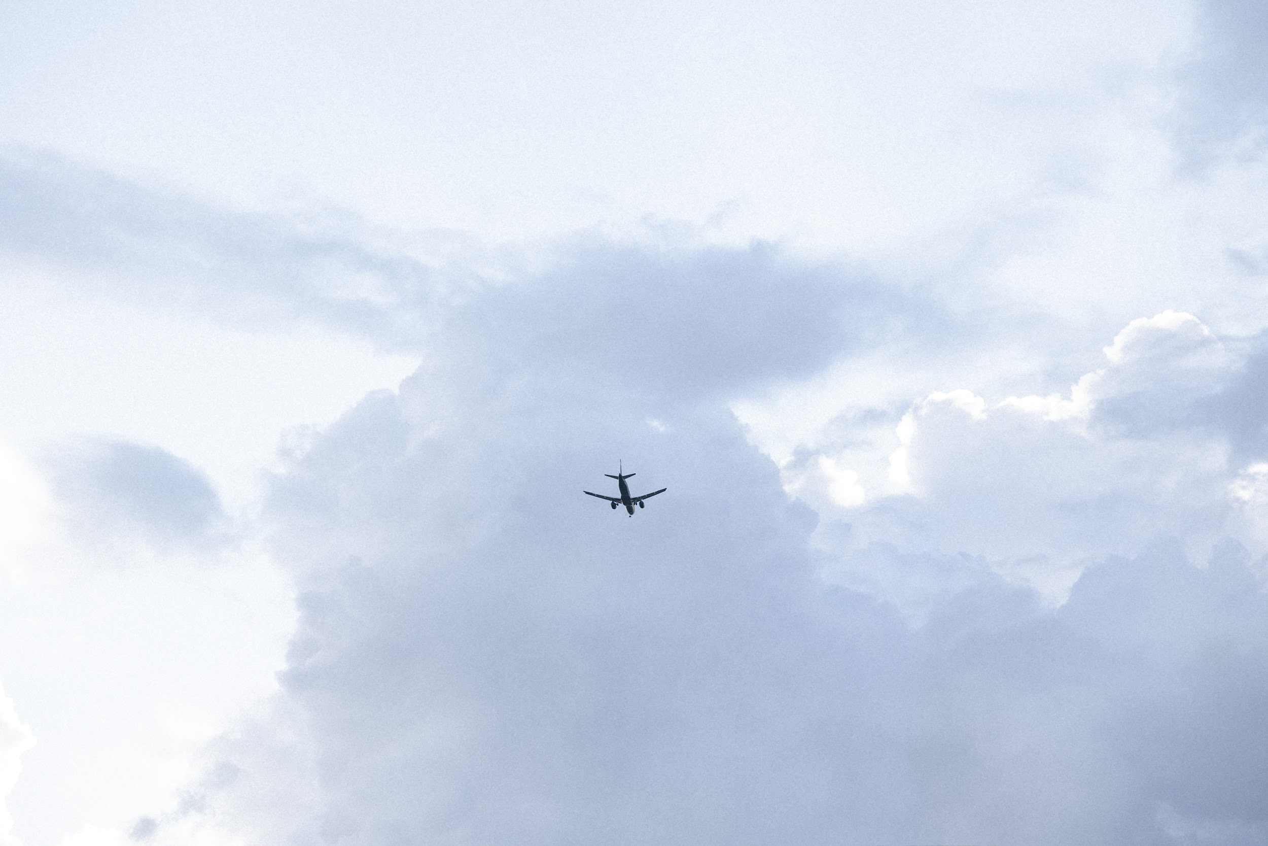 03.08 Егор и Виктория. Свадебный организатор Екатеринбург