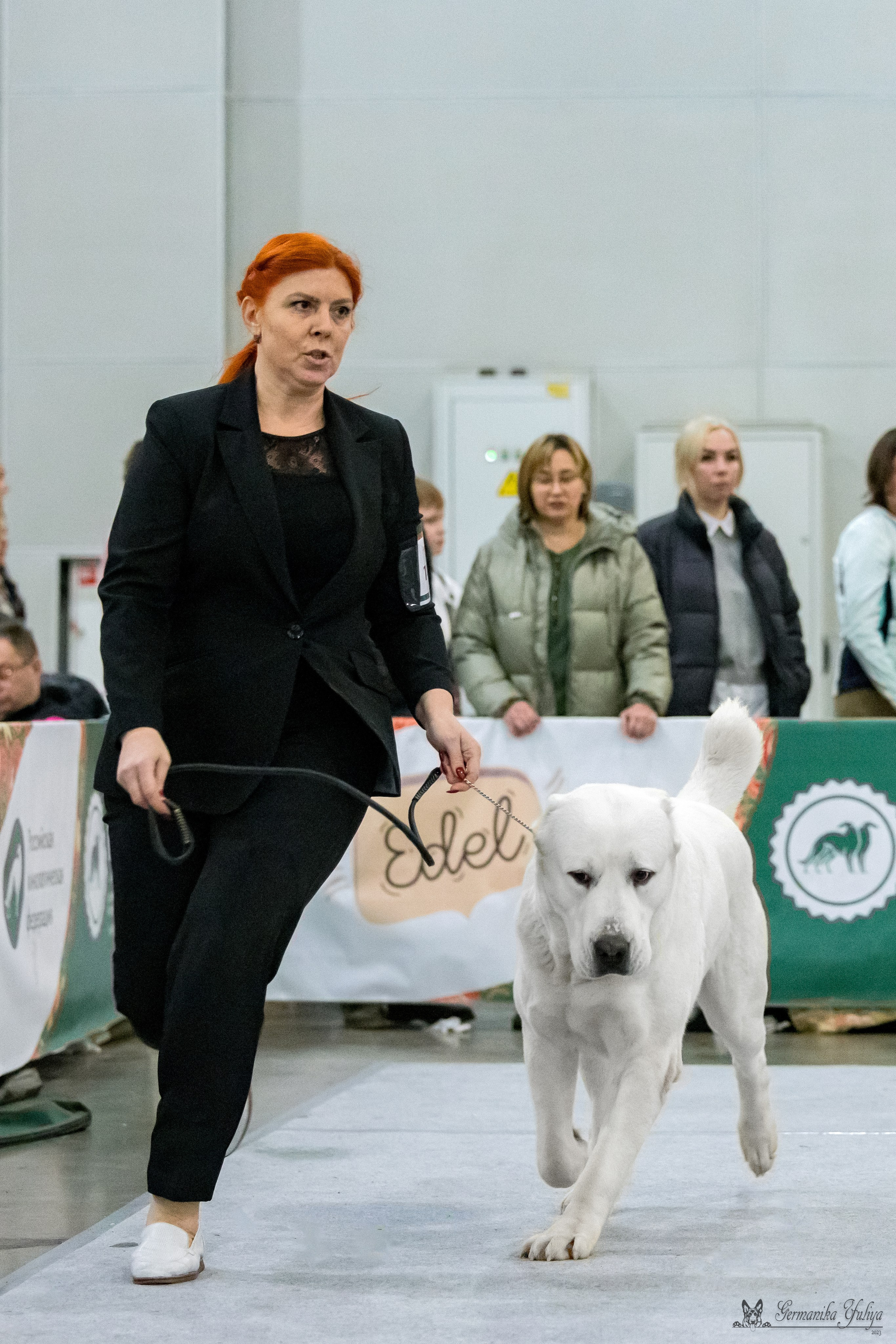 ЕВРАЗИЯ 18-19.11.2023. Фотограф-анималист Юлия Германика