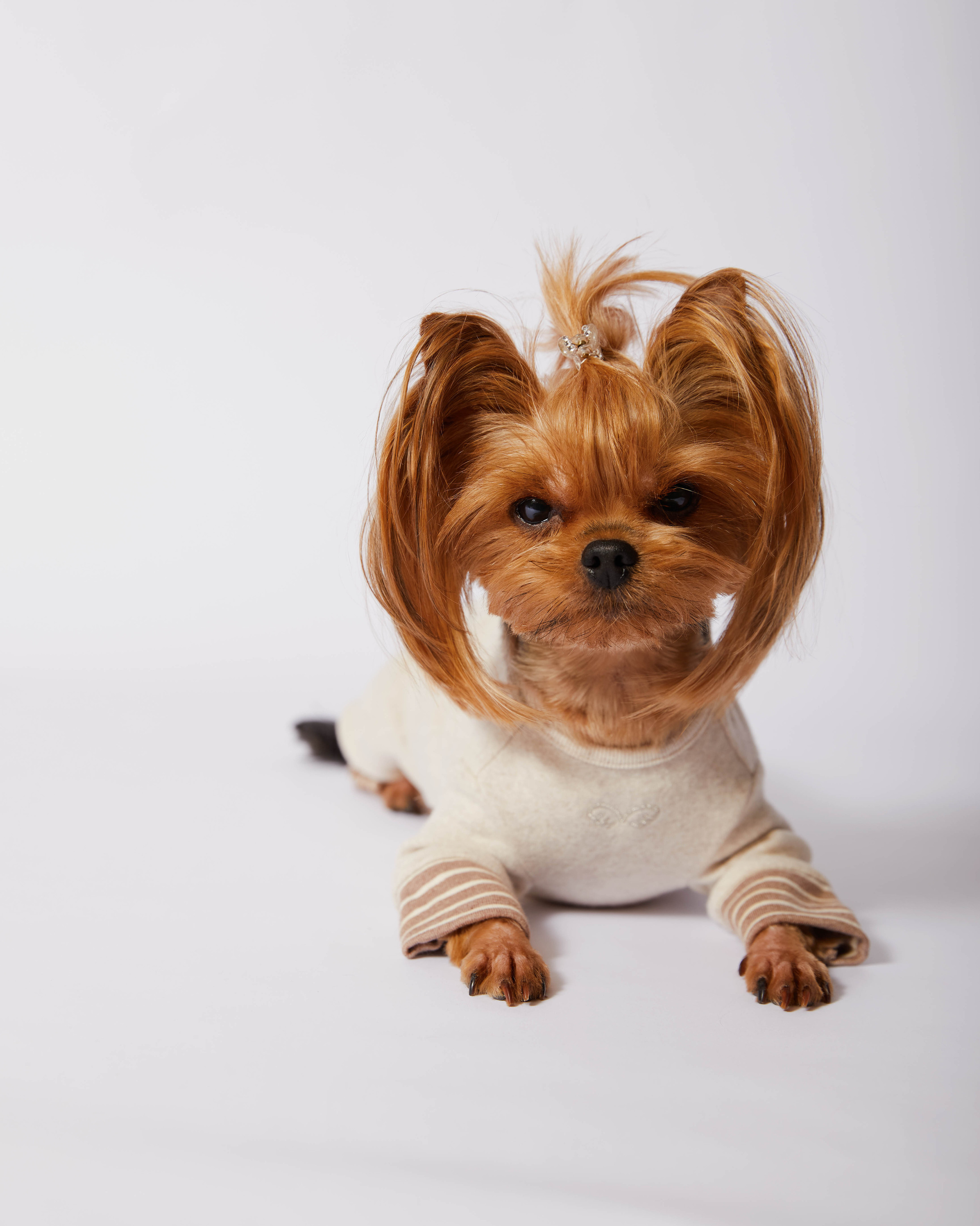 ЛЮБИМЦЫ. ФОТОГРАФ И РЕТУШЕР В МОСКВЕ ВИКТОРИЯ АКИМОВА