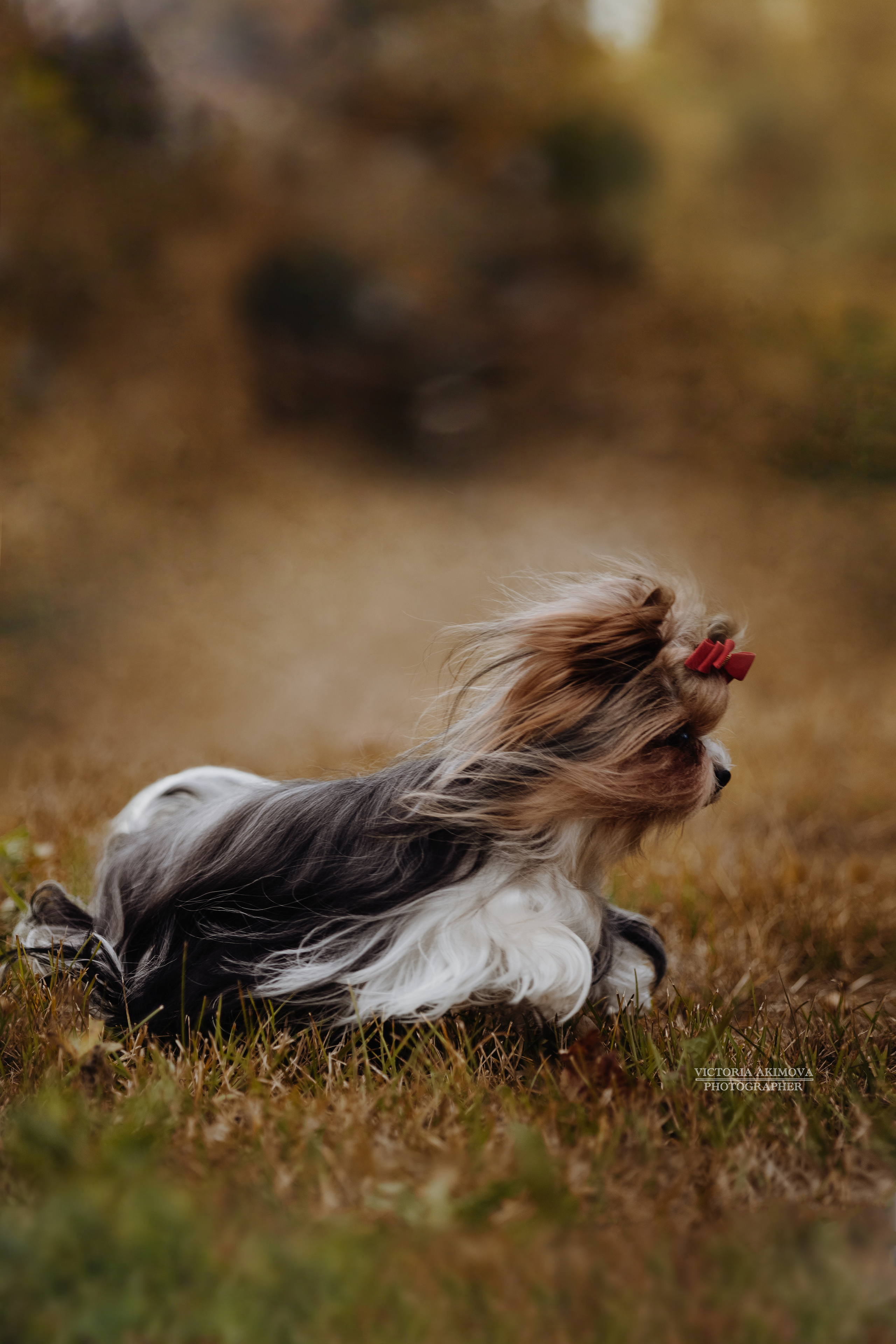 ПРОГУЛКИ В СЕНТЯБРЕ. ФОТОГРАФ И РЕТУШЕР В МОСКВЕ ВИКТОРИЯ АКИМОВА