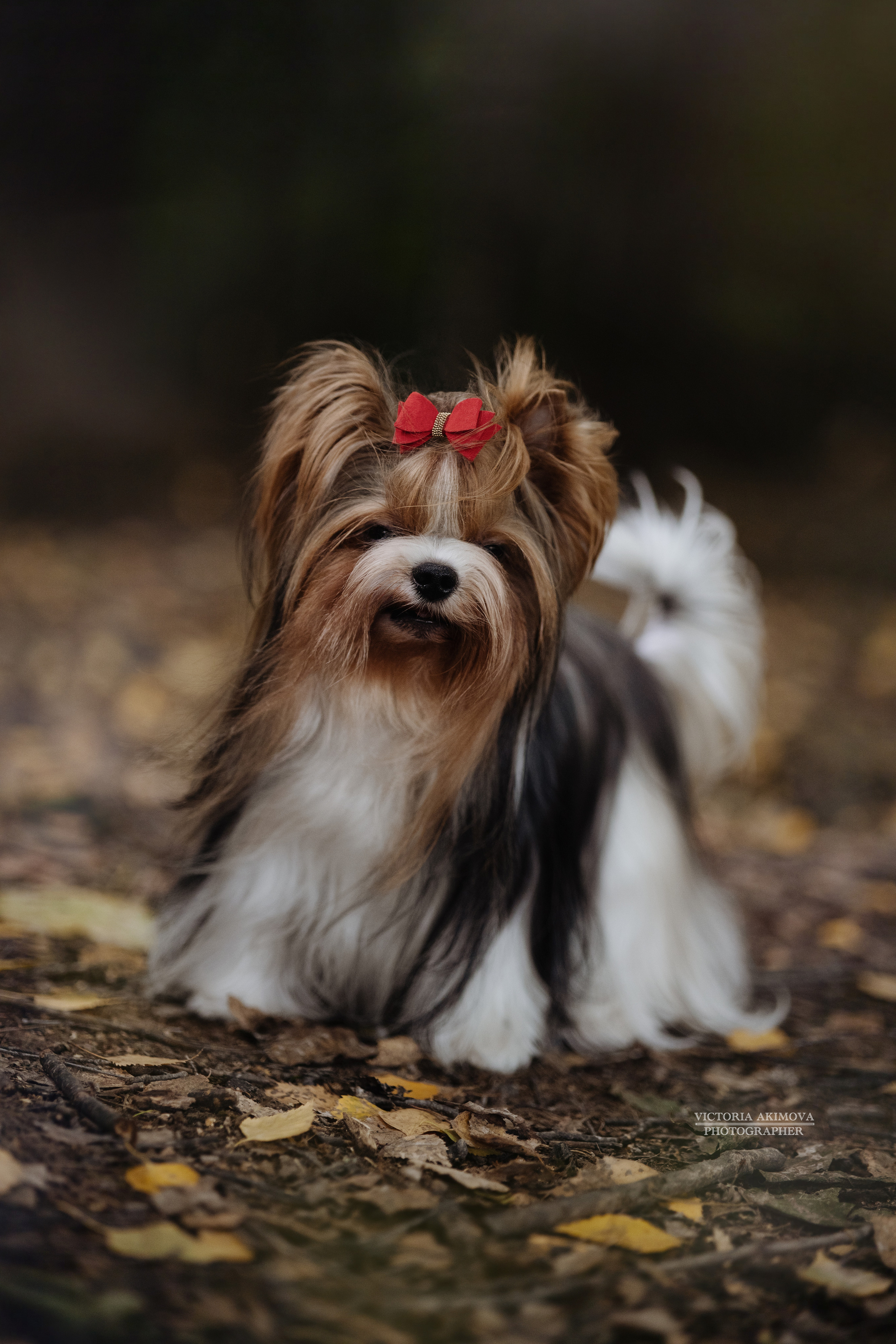 ПРОГУЛКИ В СЕНТЯБРЕ. ФОТОГРАФ И РЕТУШЕР В МОСКВЕ ВИКТОРИЯ АКИМОВА
