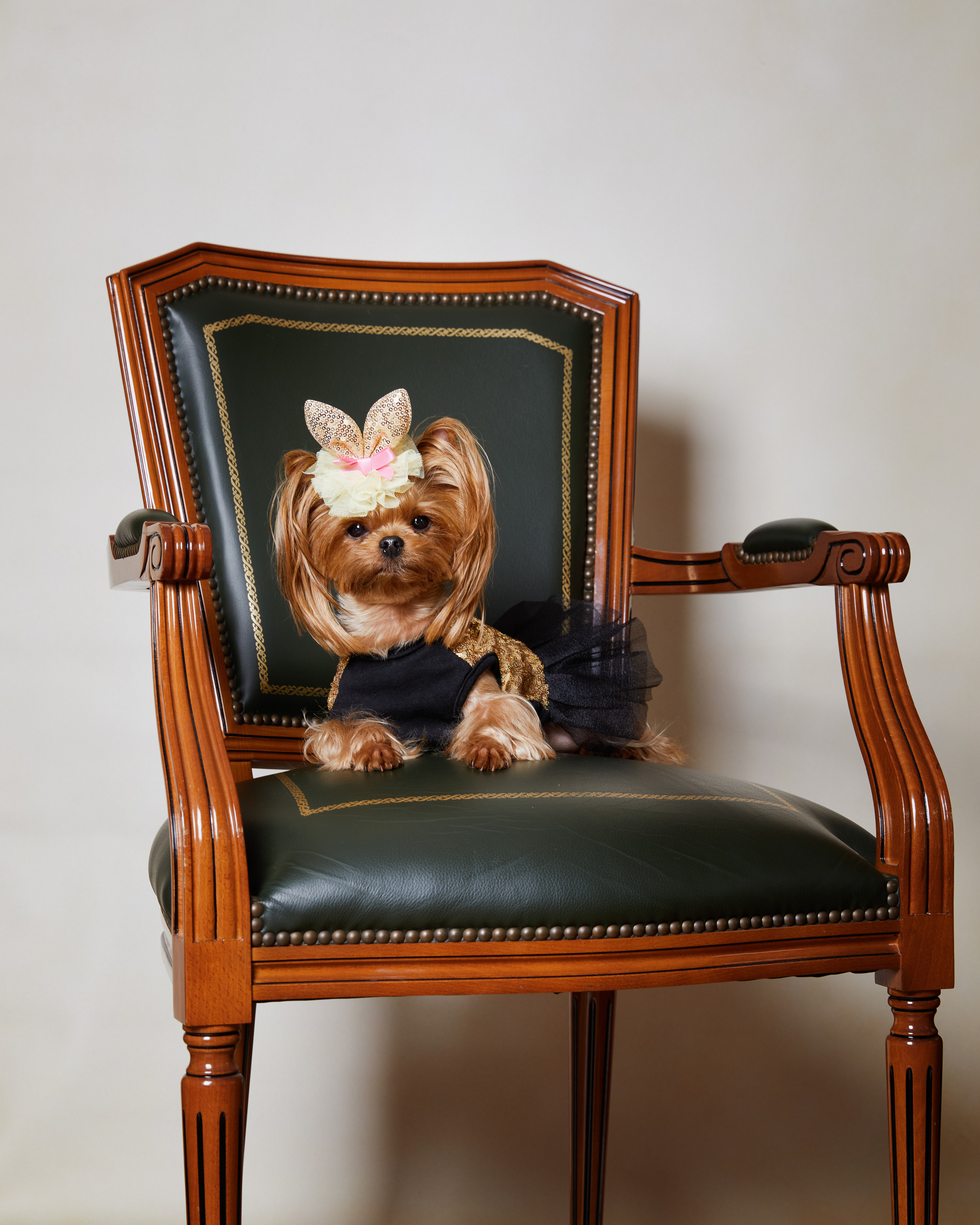 ЛЮБИМЦЫ. ФОТОГРАФ И РЕТУШЕР В МОСКВЕ ВИКТОРИЯ АКИМОВА