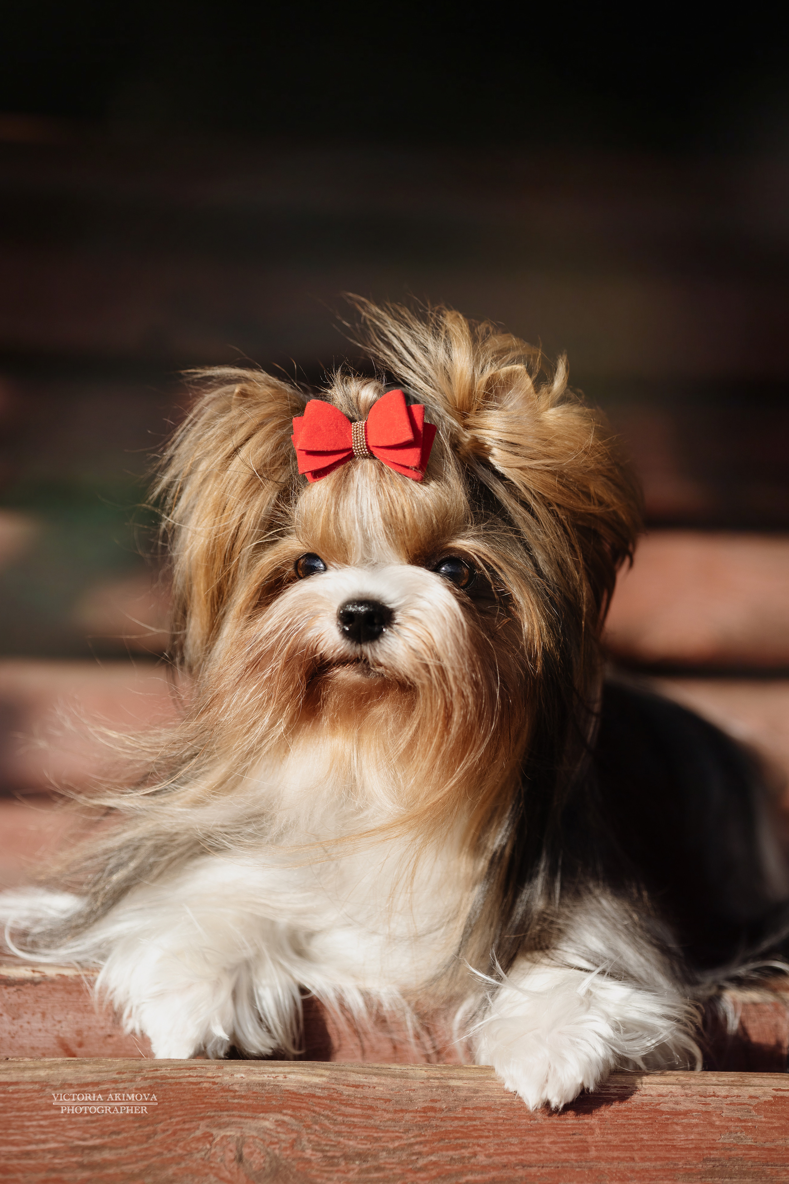 ПРОГУЛКИ В СЕНТЯБРЕ. ФОТОГРАФ И РЕТУШЕР В МОСКВЕ ВИКТОРИЯ АКИМОВА