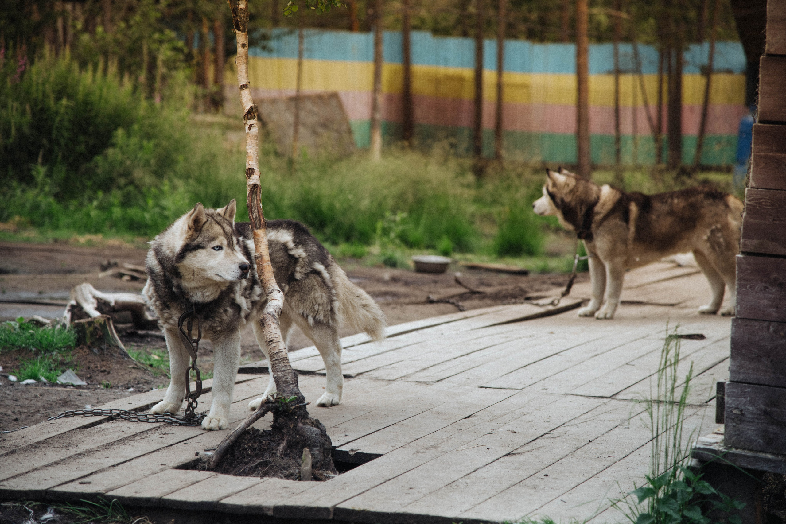 Кольский полуостров. Фотографирую для себя, своей семьи и друзей!