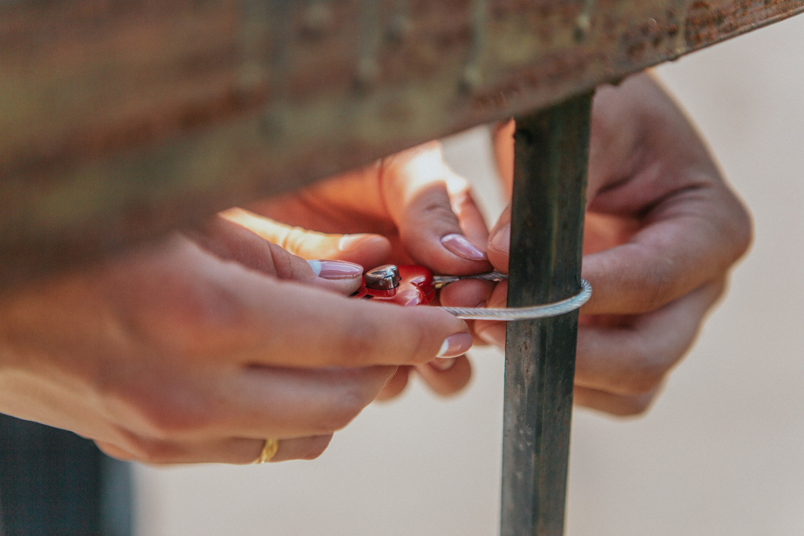 Оля и Игорь. Свадебный и портретный фотограф Виктория Шипелик