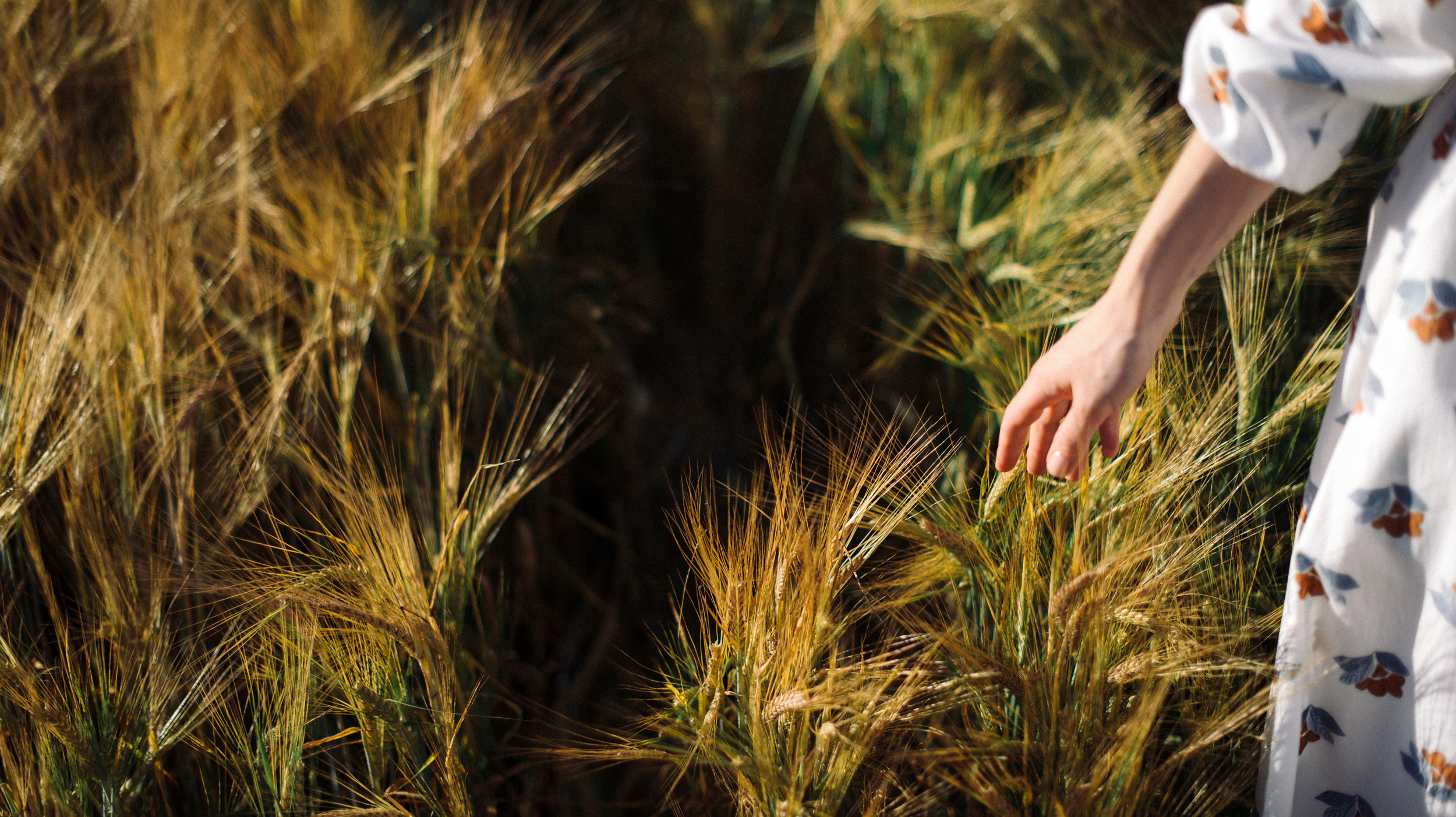 Тимушевы. Фотограф в Ярославле Коваленко Лена
