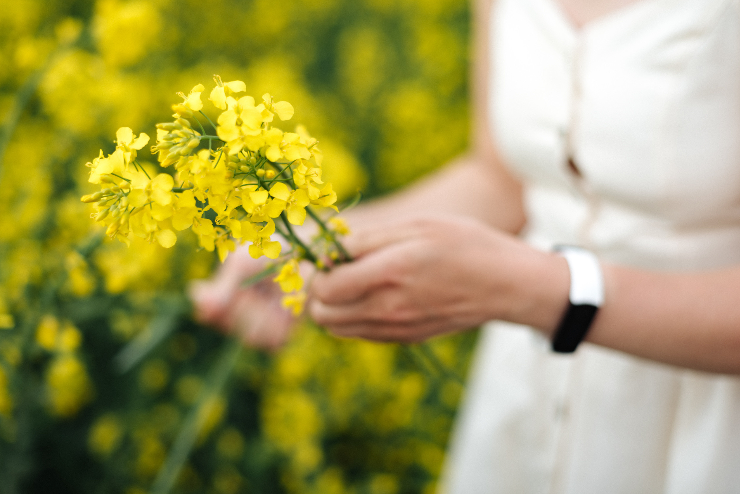 Николаевы. Фотограф в Ярославле Коваленко Лена