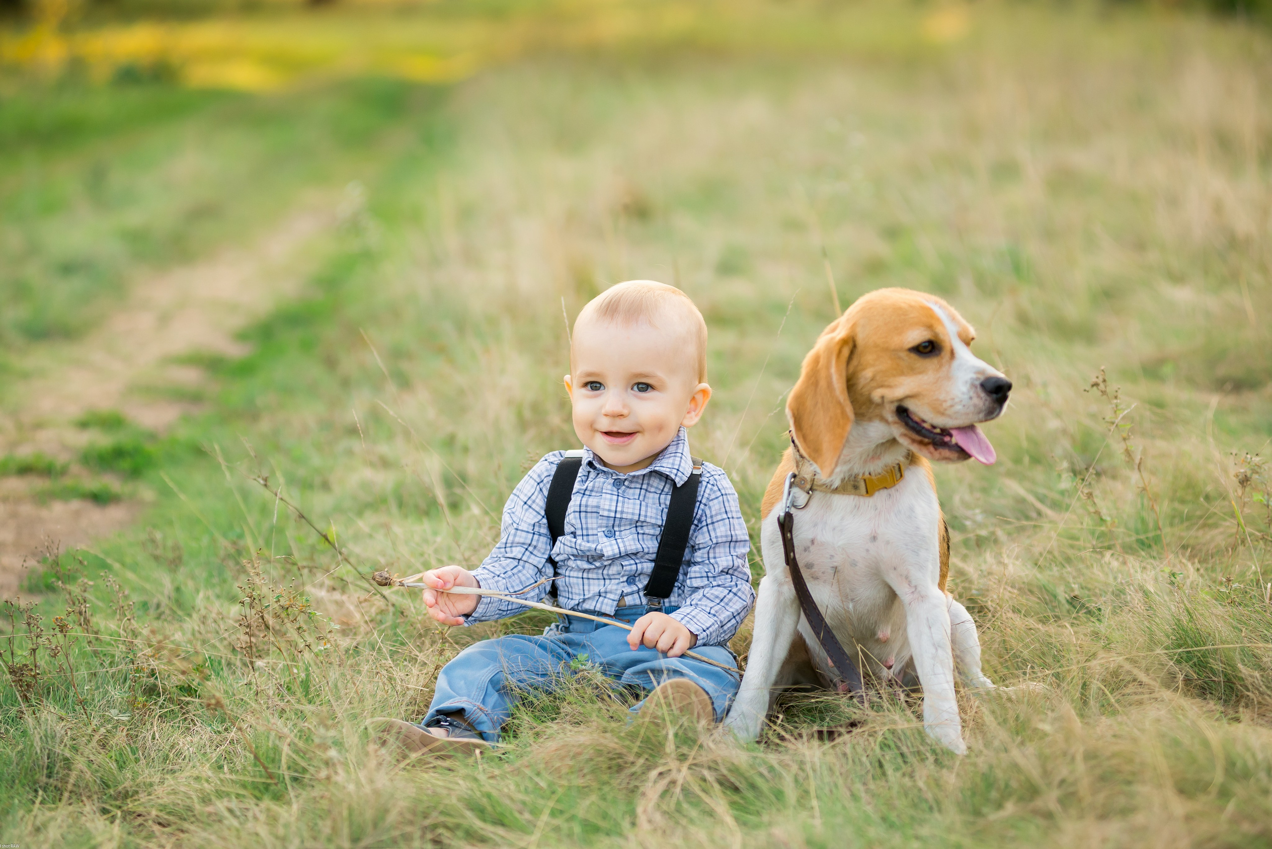 Саша, Наташа и маленький Савва. Свадебный фотограф в Рязани Вагнер Владимир