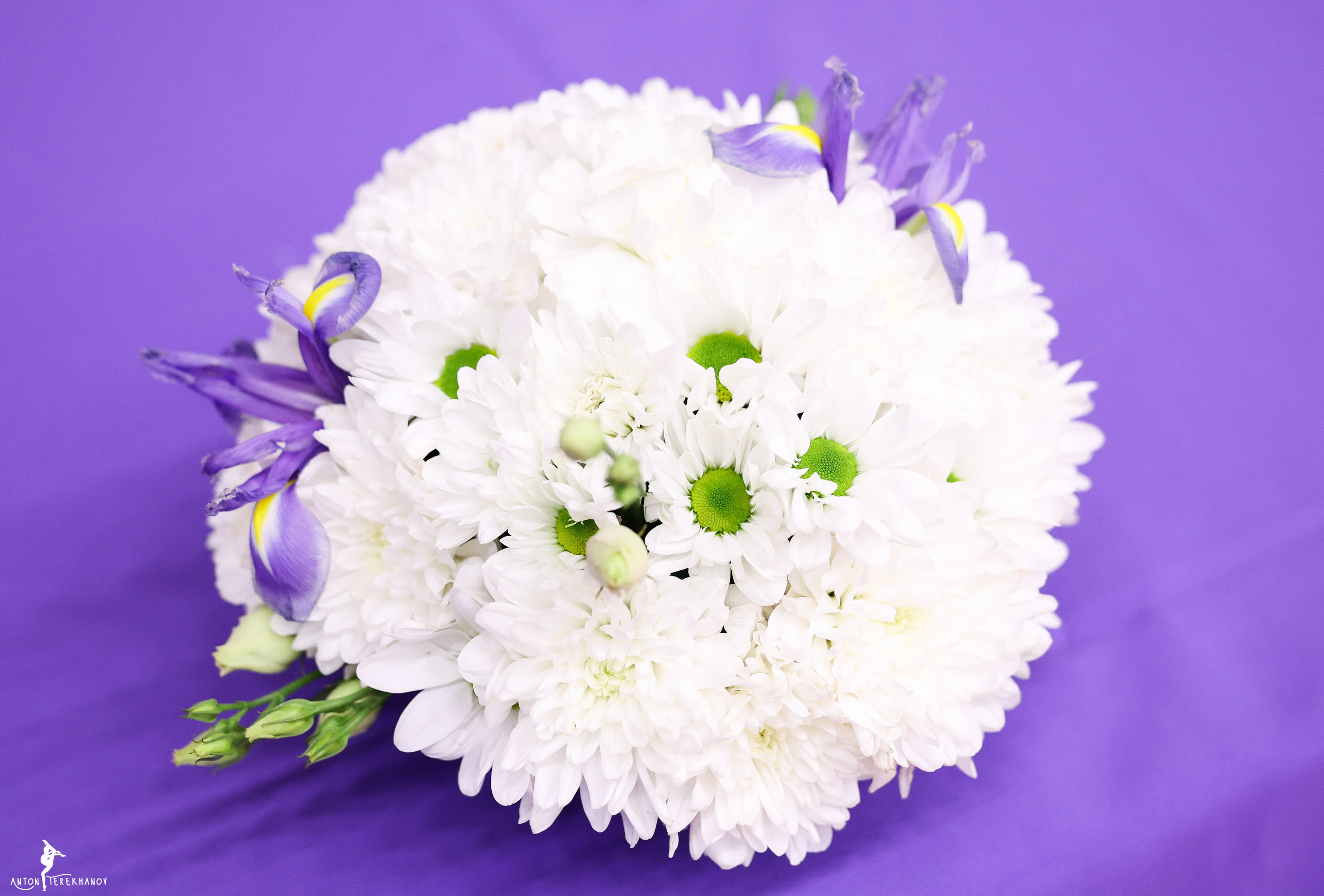 «Будь на высоте» 04-05 ноября 2023. Спортивный и репортажный фотограф Антон Тереханов