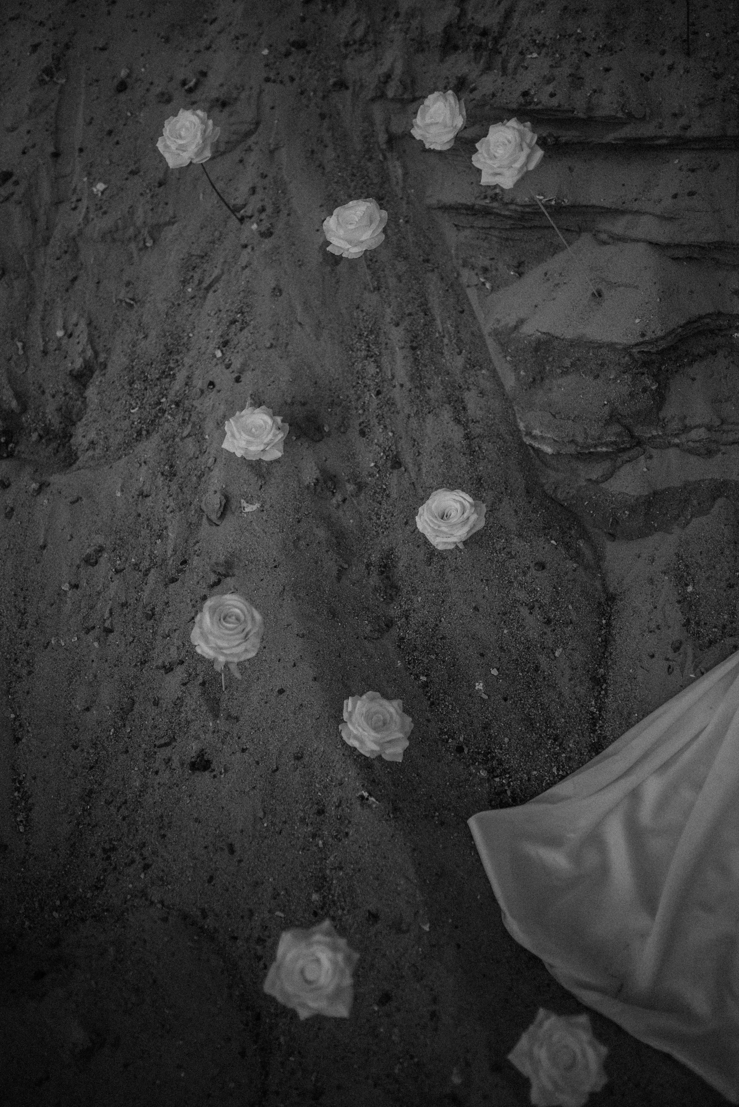 Алина. Фотограф Анна Абрикосова