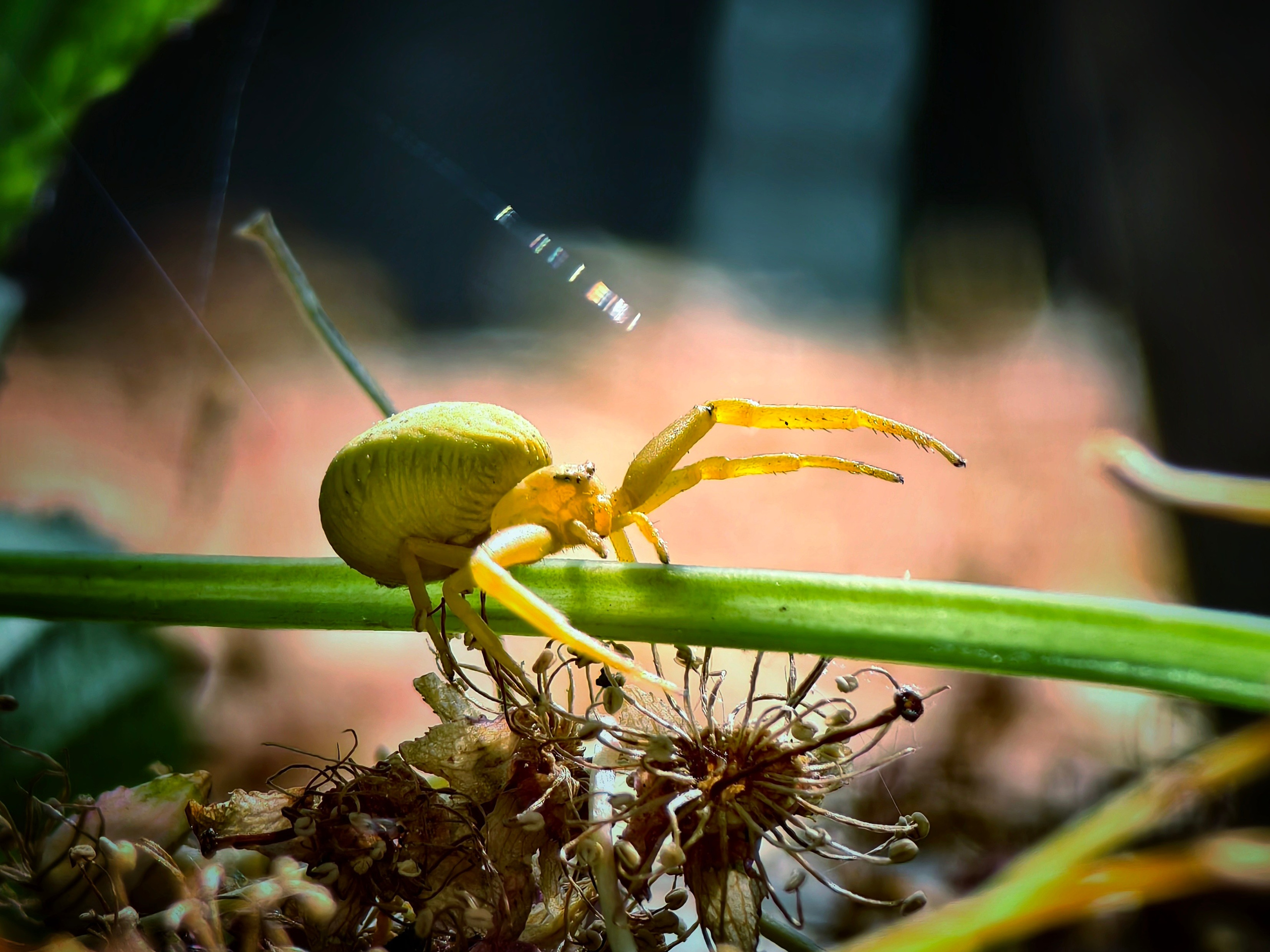 Большое в малом