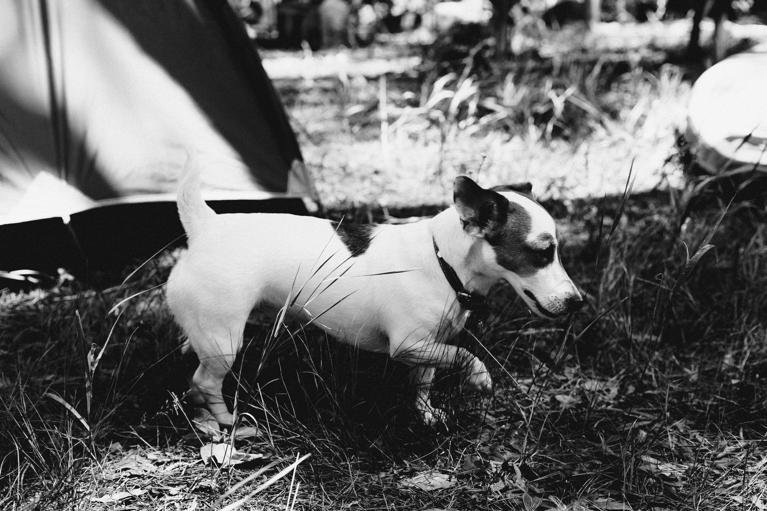 Чакра 2024. Фотограф Старый Оскол Мавлыга Мария